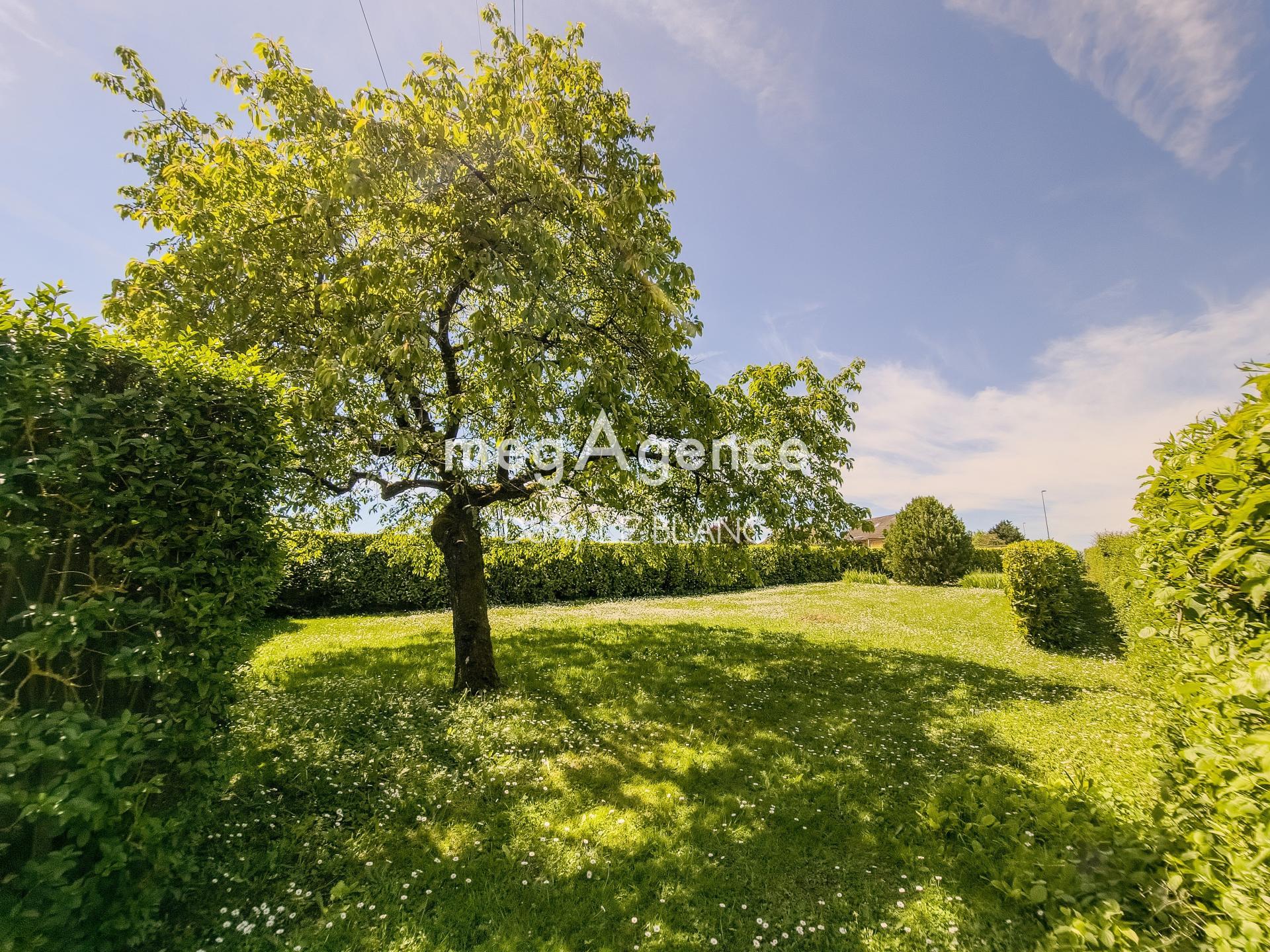 Miniature photo - 10 / 11