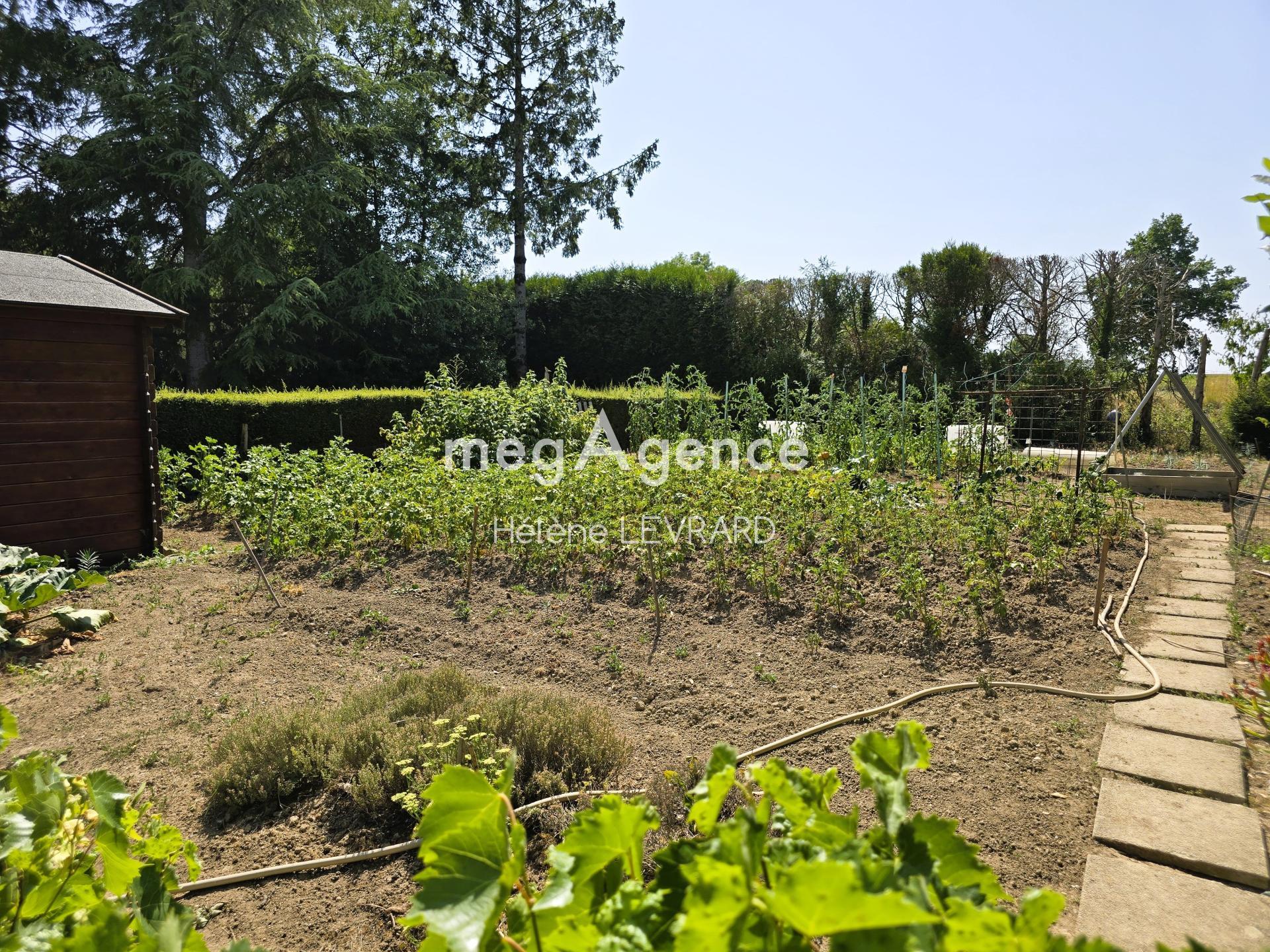 Miniature photo - 6 / 8