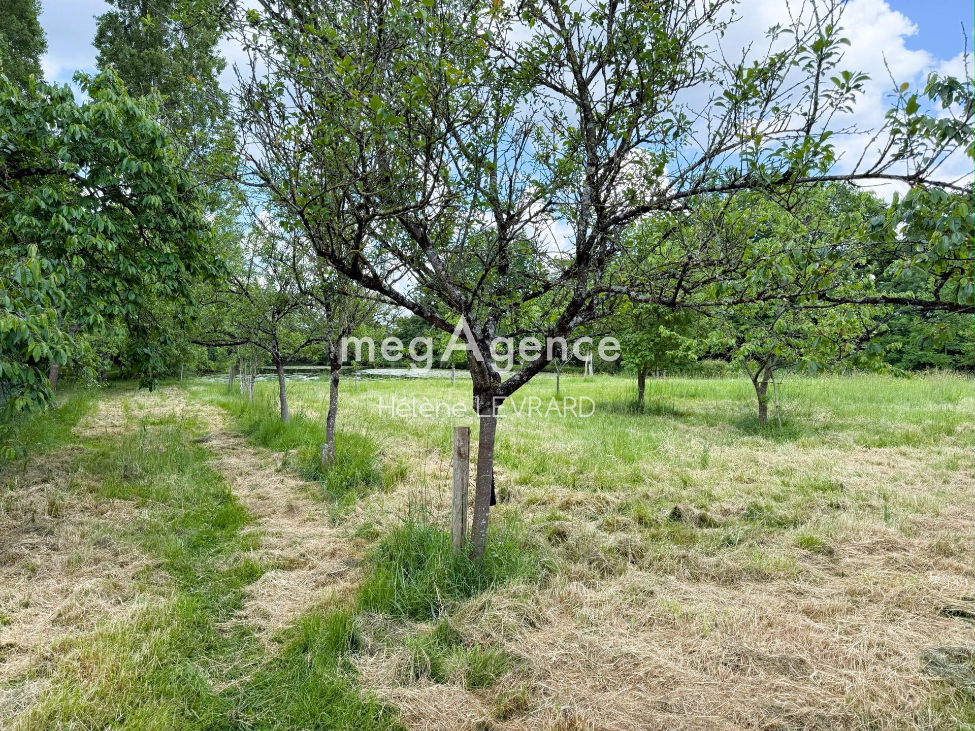 Miniature photo - 7 / 8