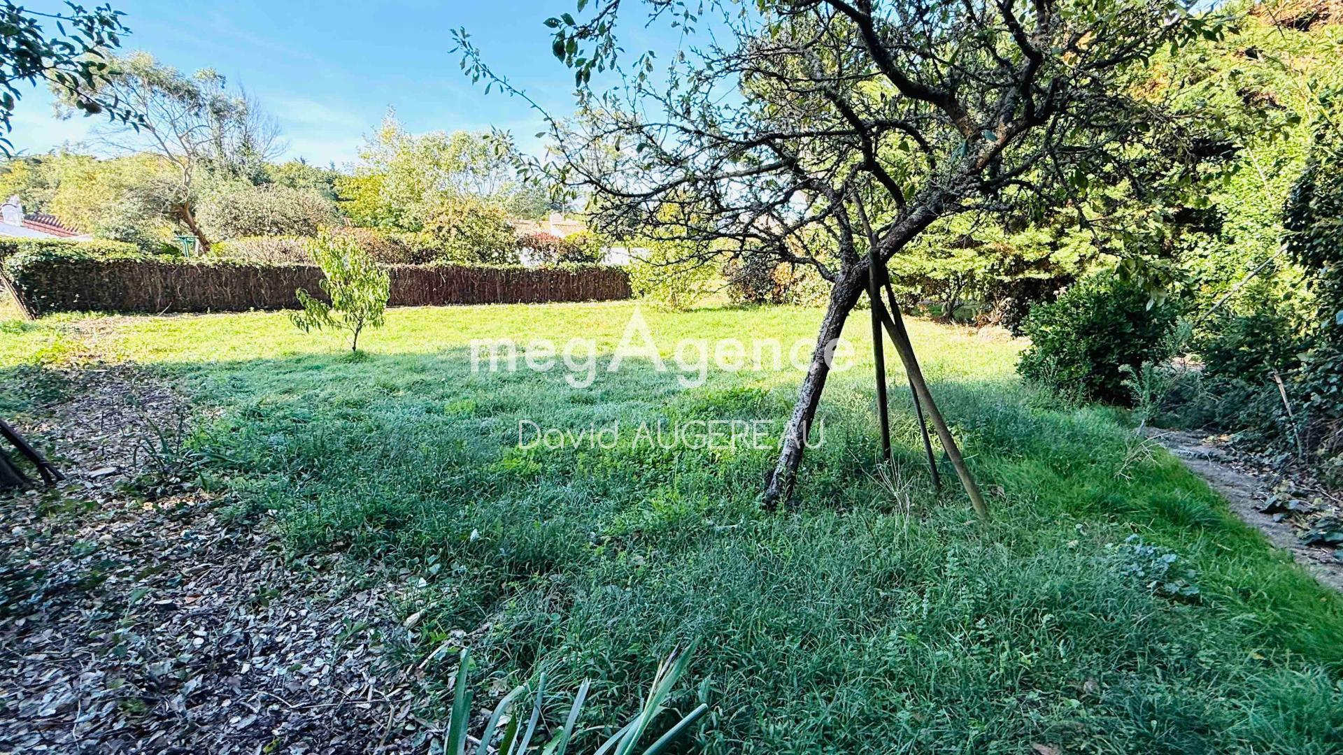 Miniature photo - 3 / 4