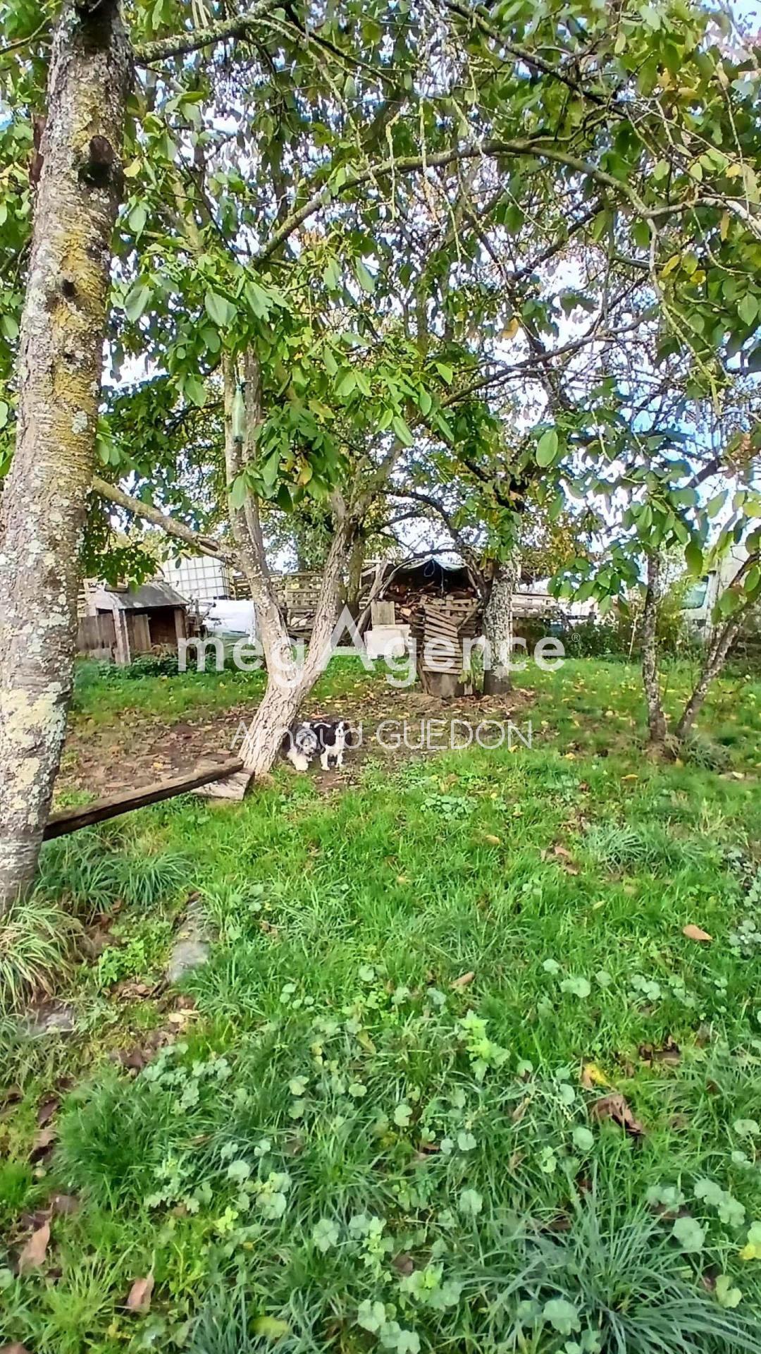 Miniature photo - 6 / 6