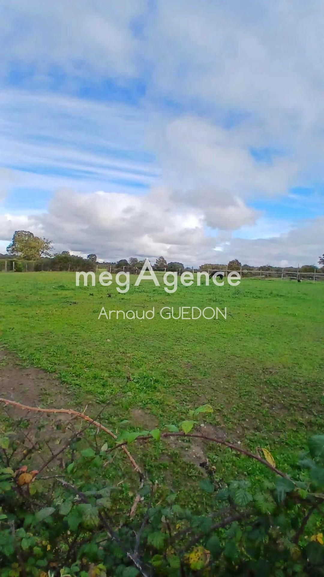 Miniature photo - 5 / 6