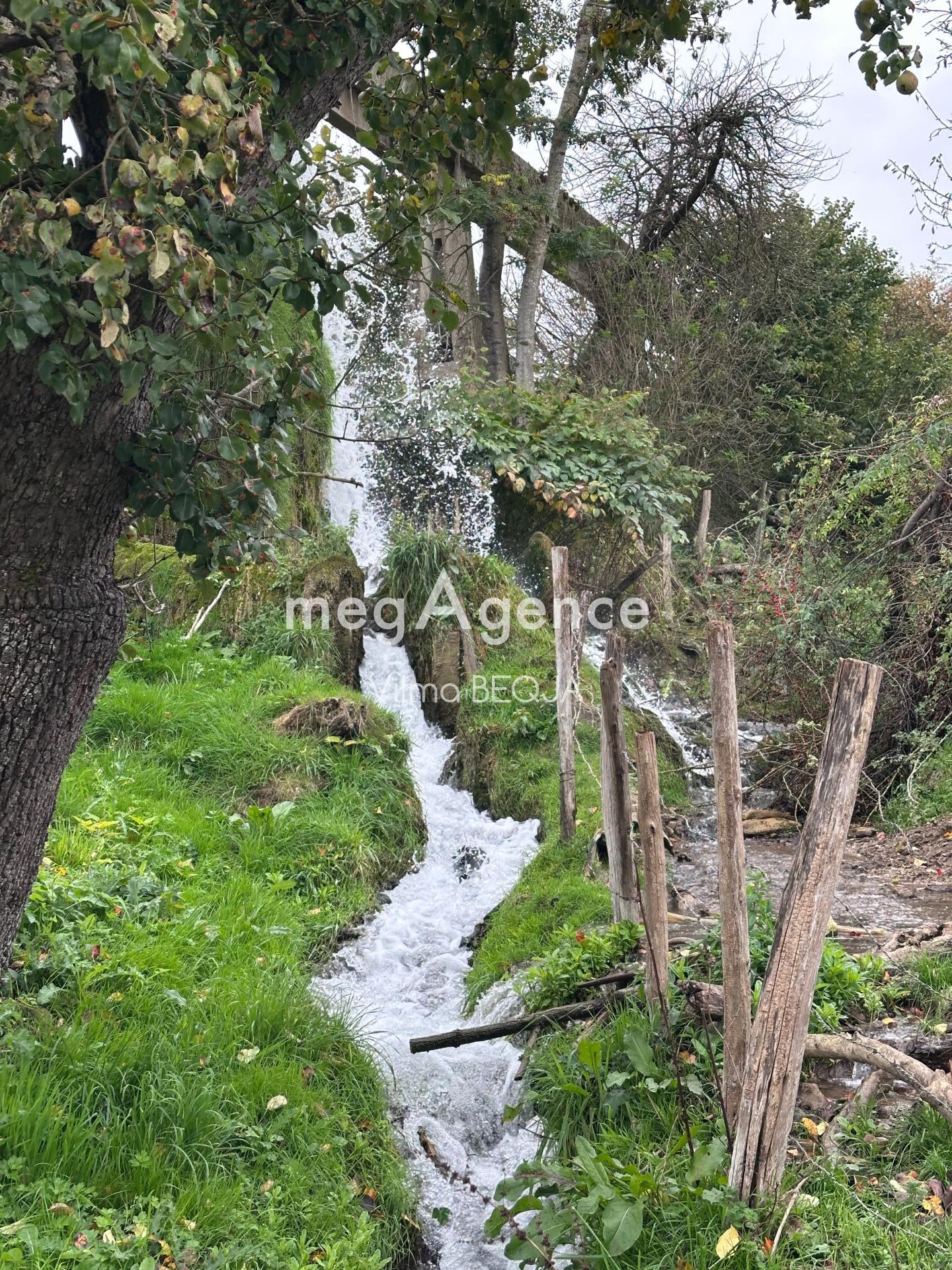 Miniature photo - 3 / 13