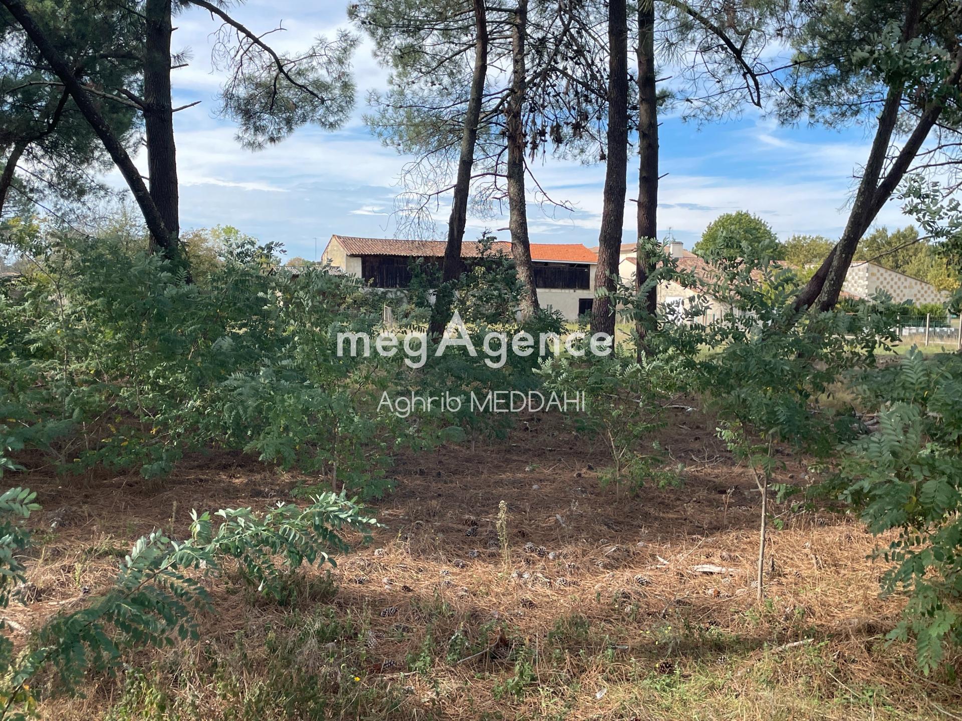 Photographie descriptive du bien