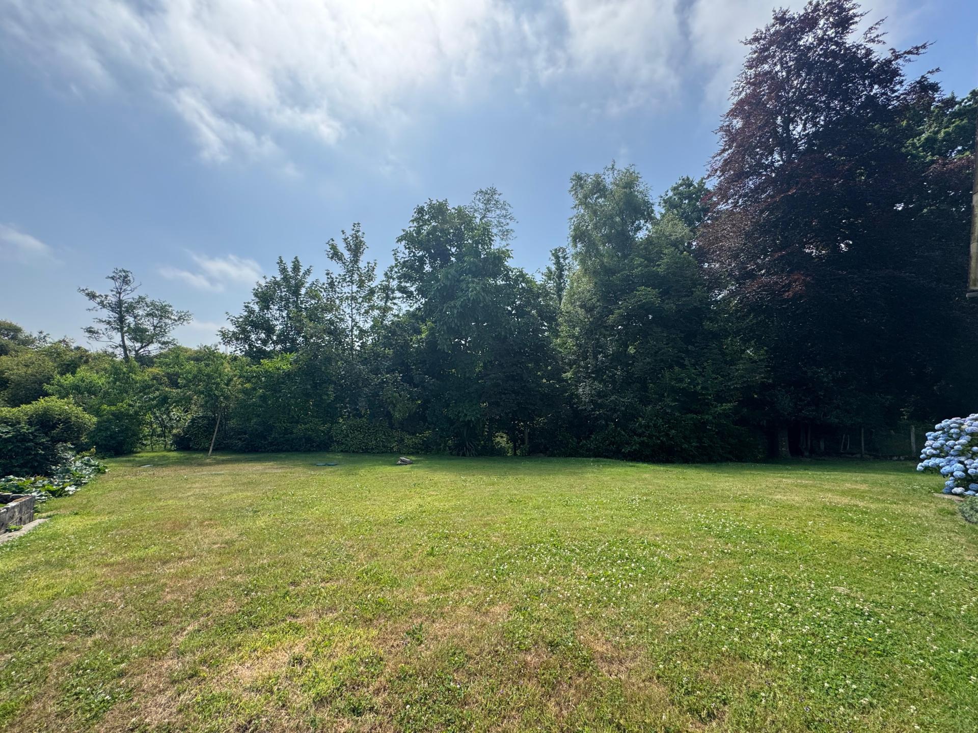 Miniature photo - 13 / 13