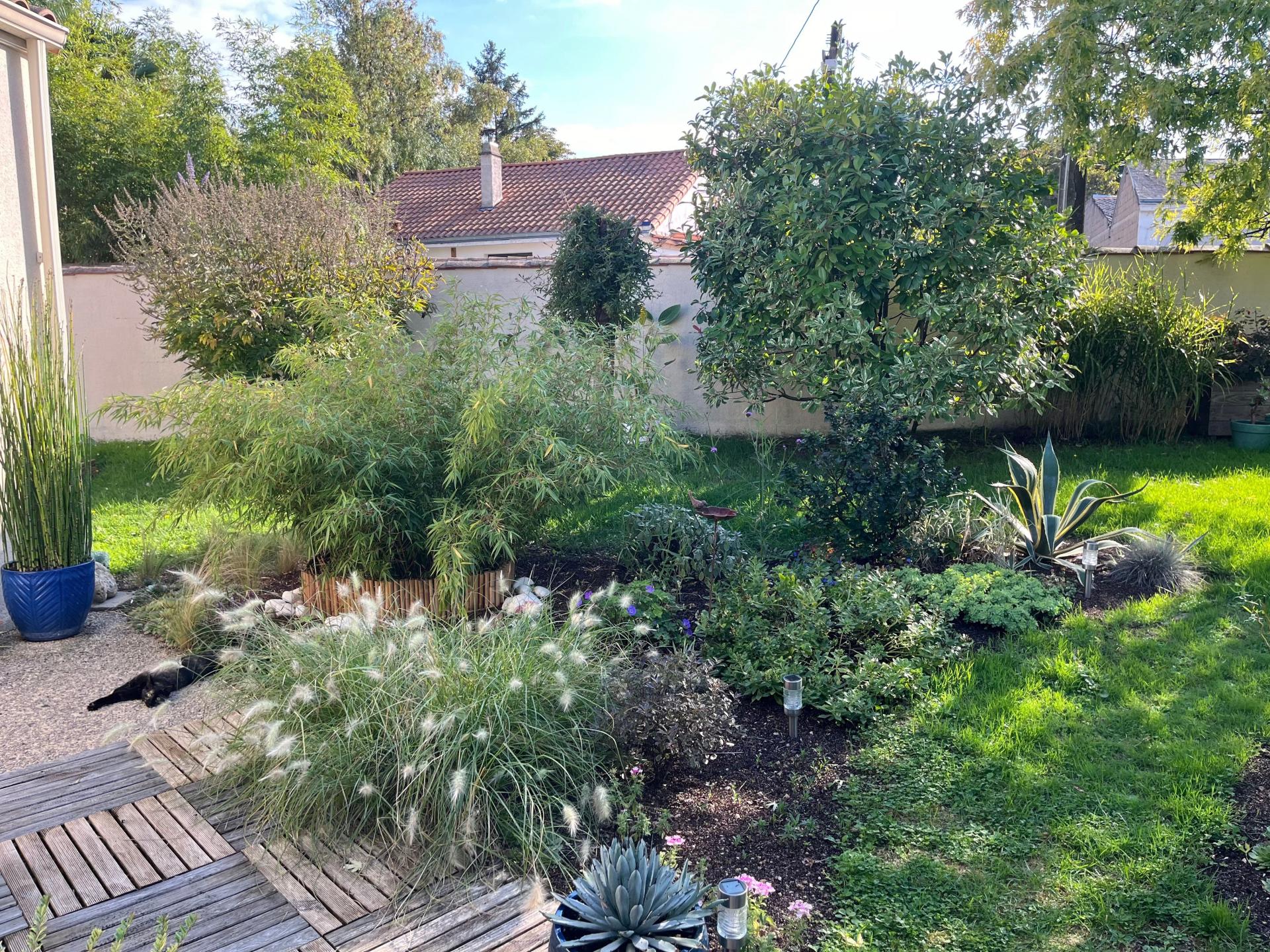 Miniature photo - 3 / 3