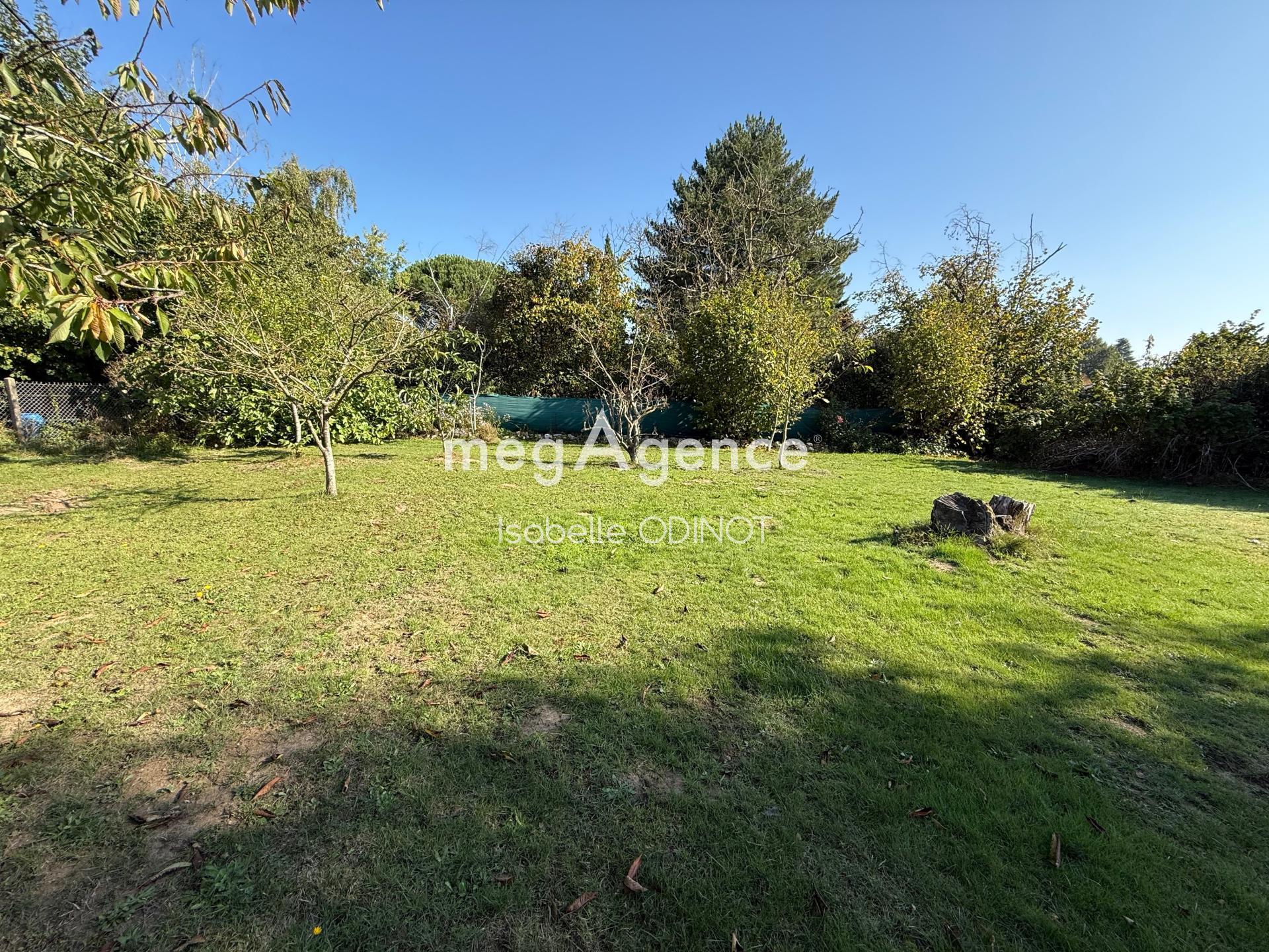 Miniature photo - 3 / 5