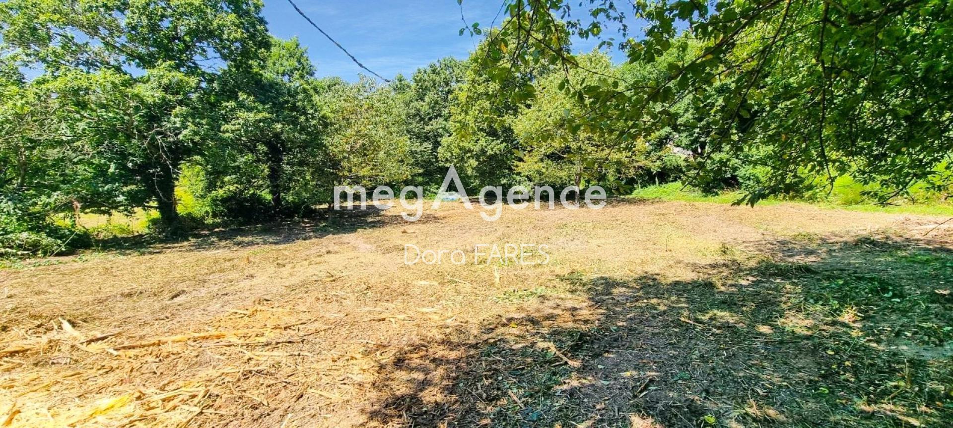 Miniature photo - 2 / 5