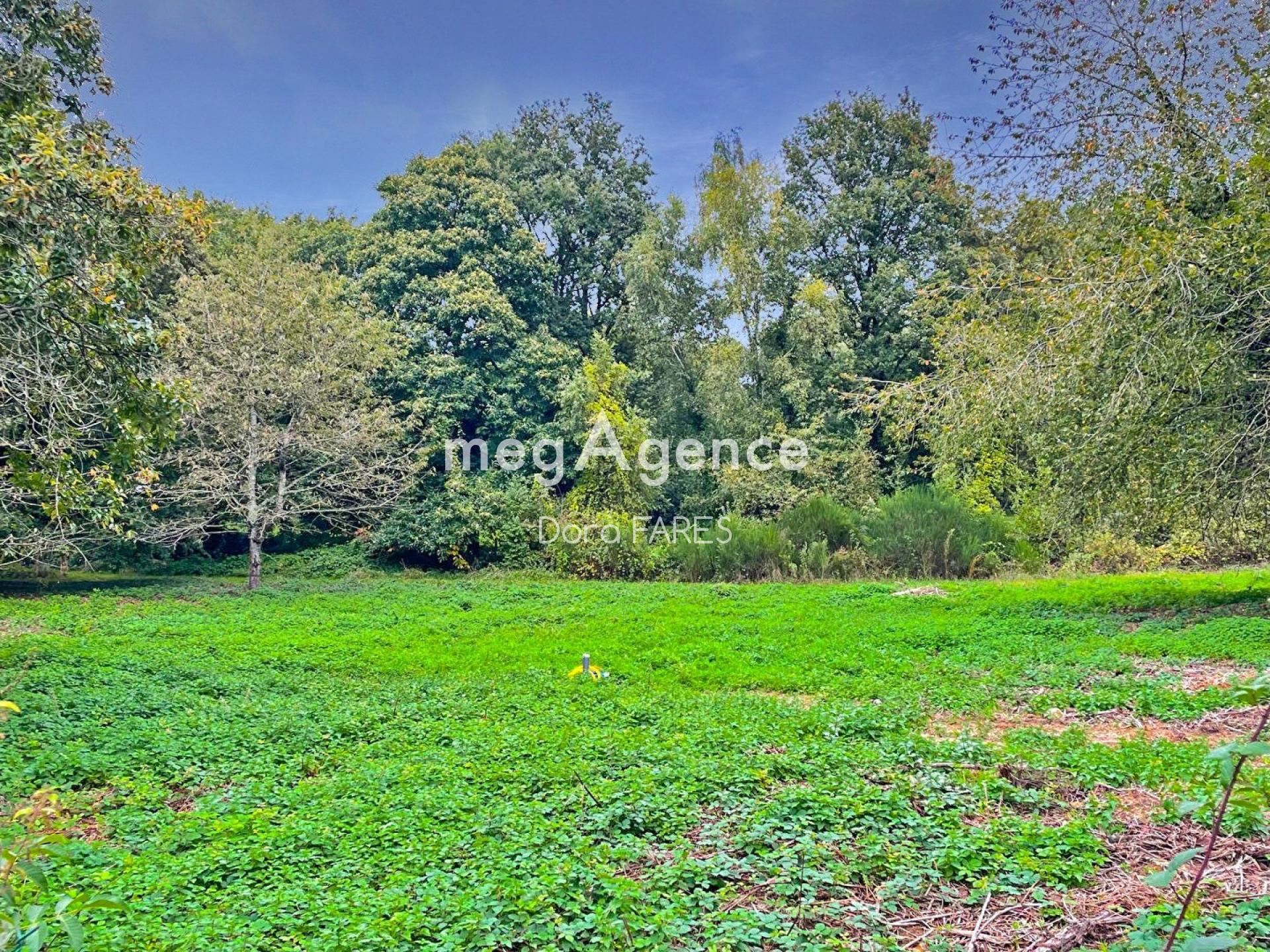 Miniature photo - 5 / 5