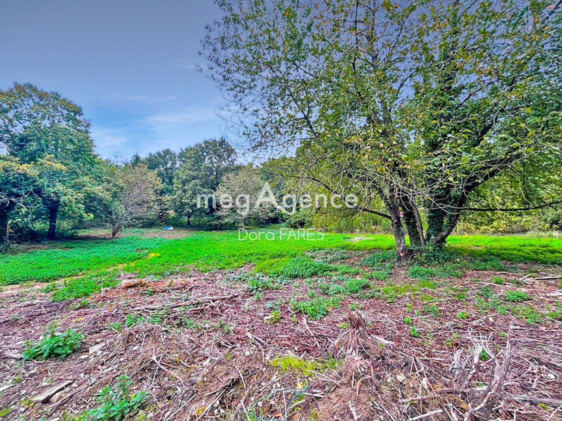 Miniature photo - 4 / 5