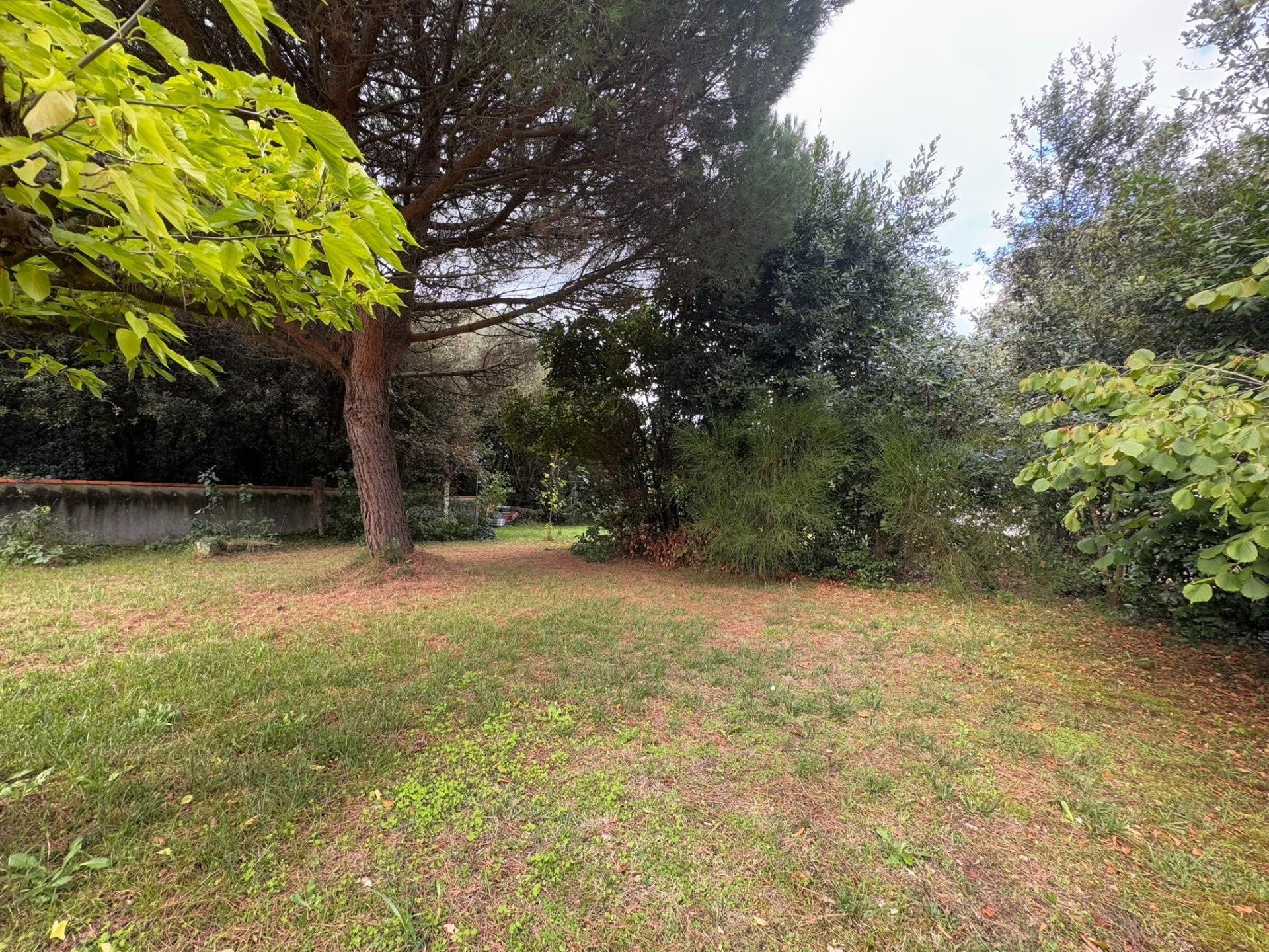 Miniature photo - 10 / 10