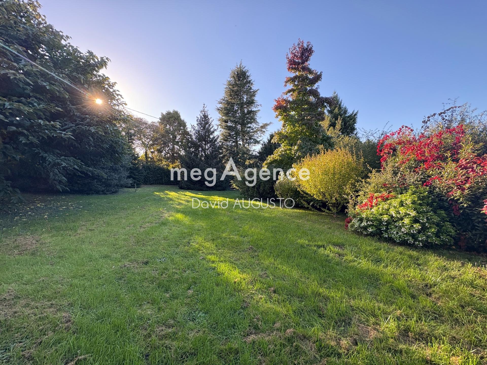 Miniature photo - 3 / 12