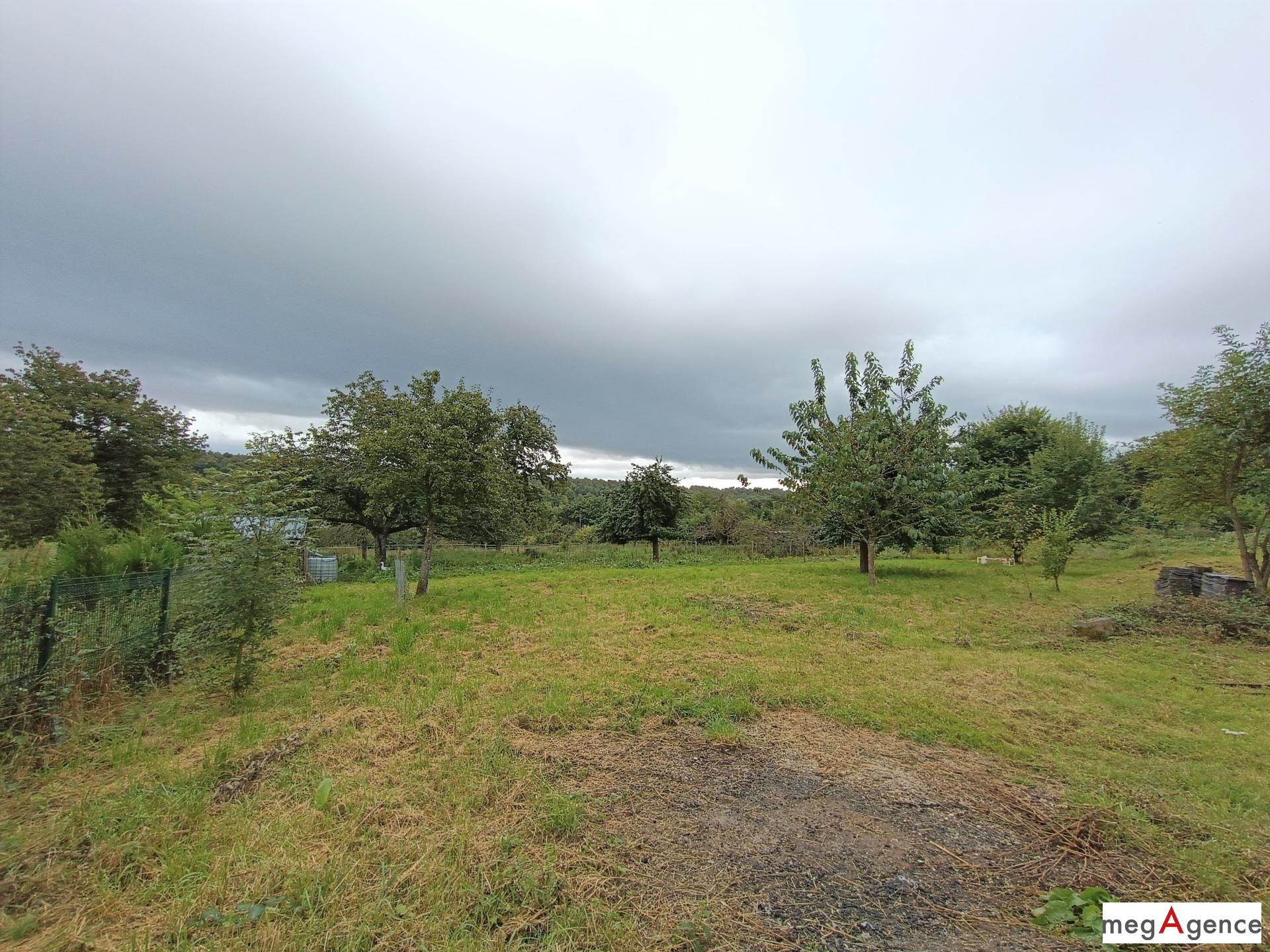 Miniature photo - 10 / 10