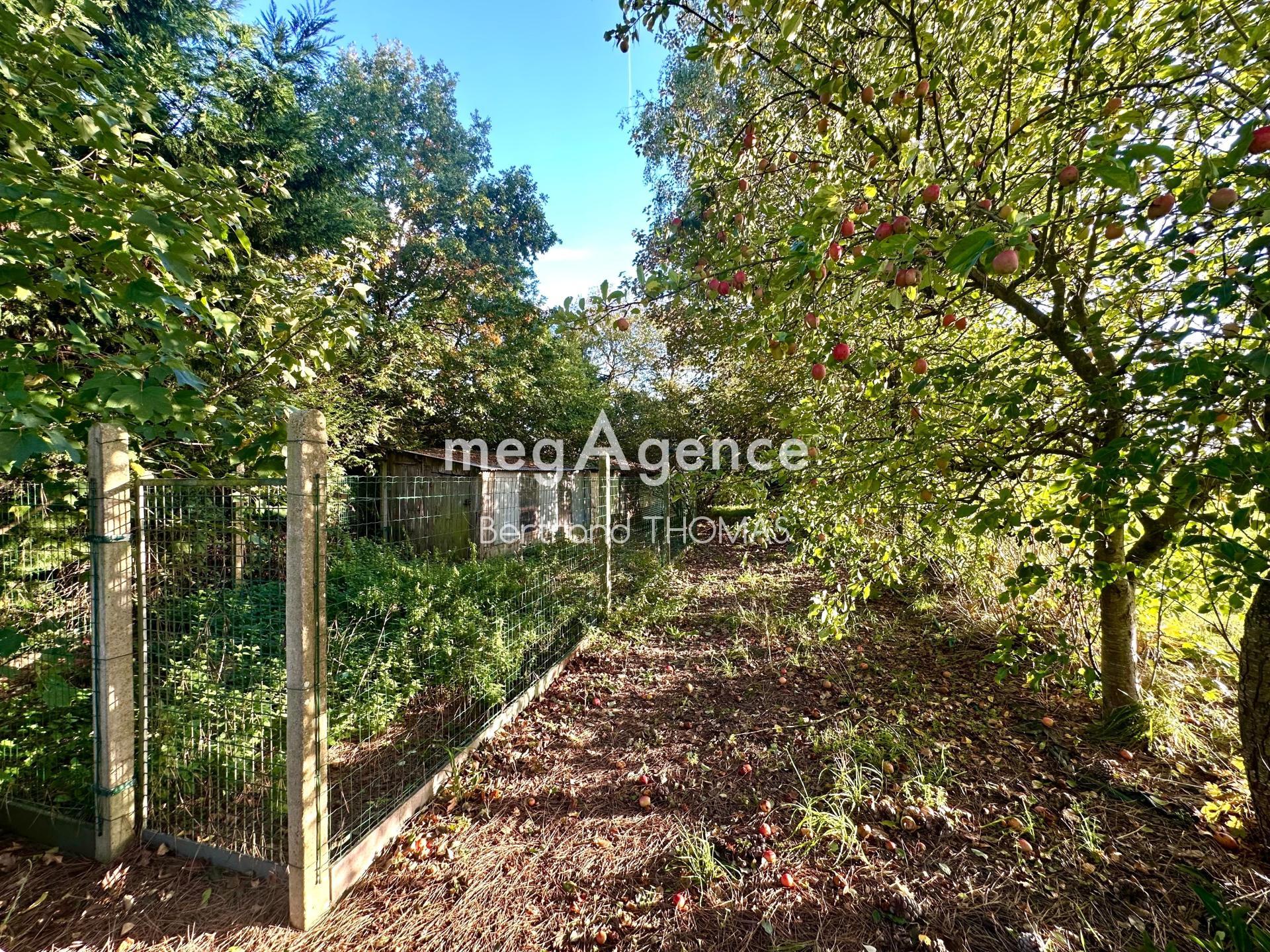 Miniature photo - 9 / 15