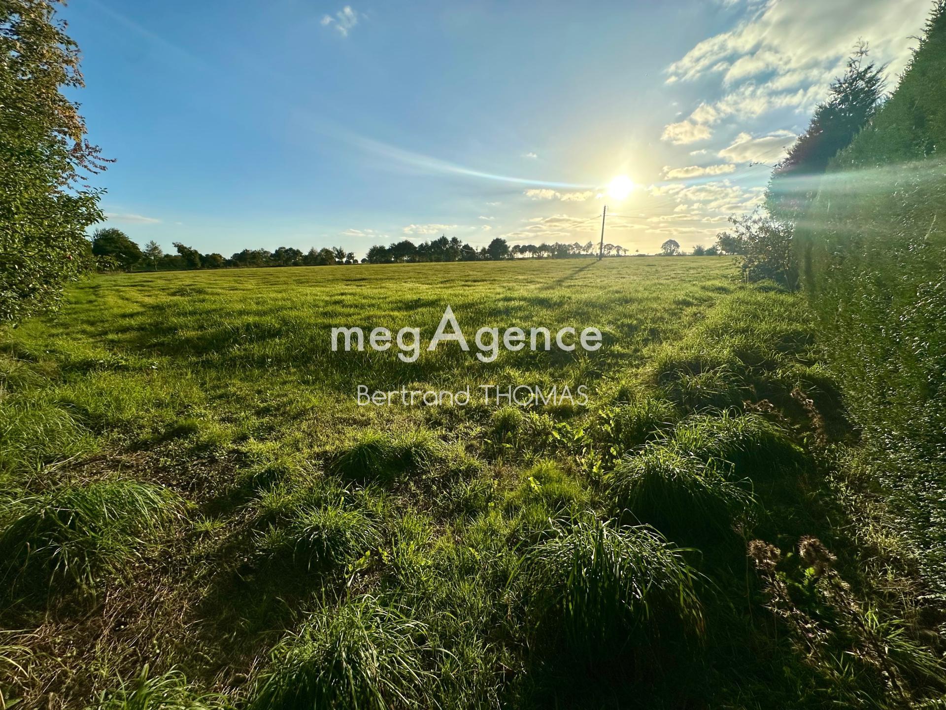 Miniature photo - 3 / 15