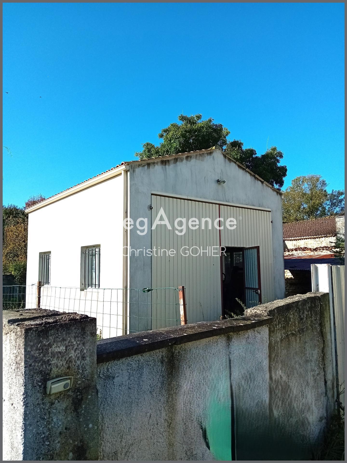 Miniature photo - 3 / 4