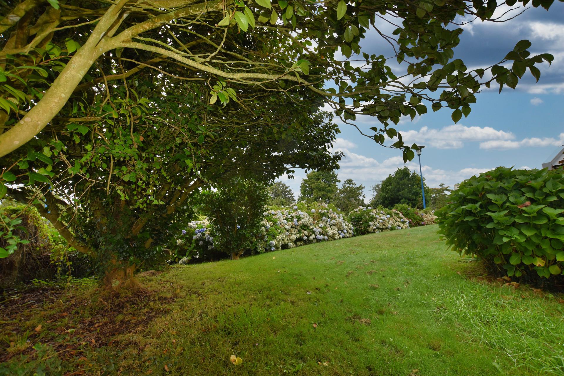 Miniature photo - 2 / 10