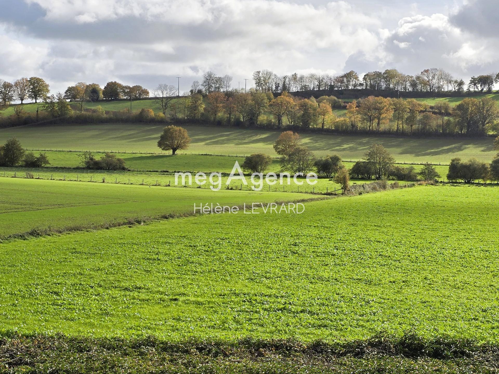 Miniature photo - 8 / 8