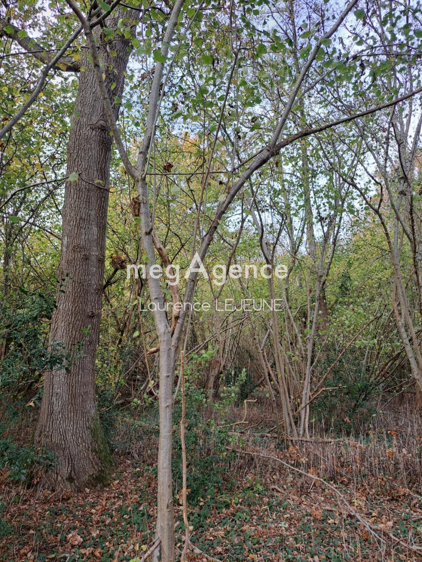 Photographie descriptive du bien