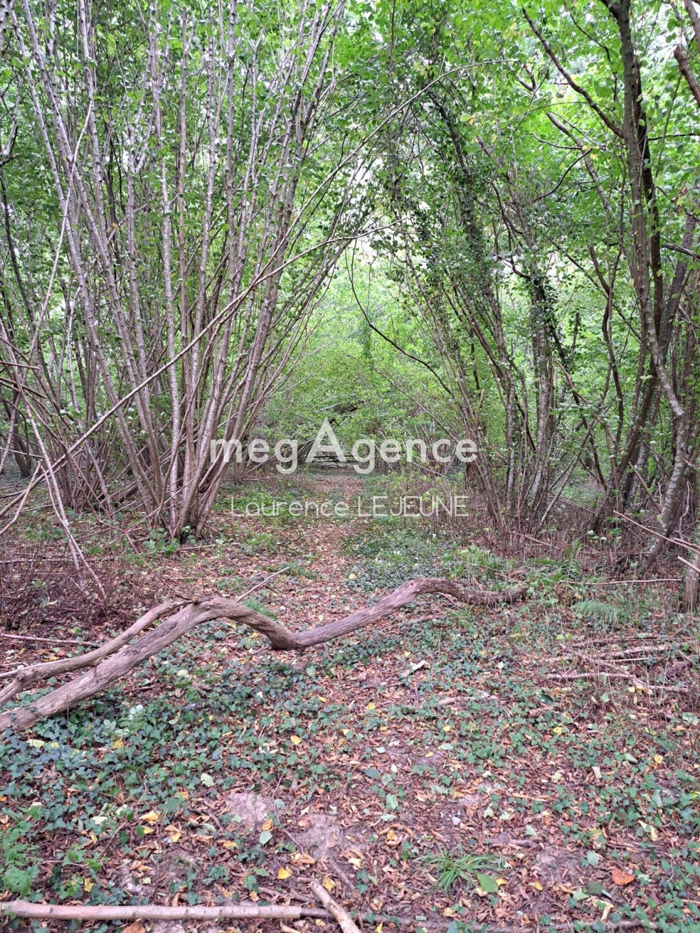 Miniature photo - 2 / 2