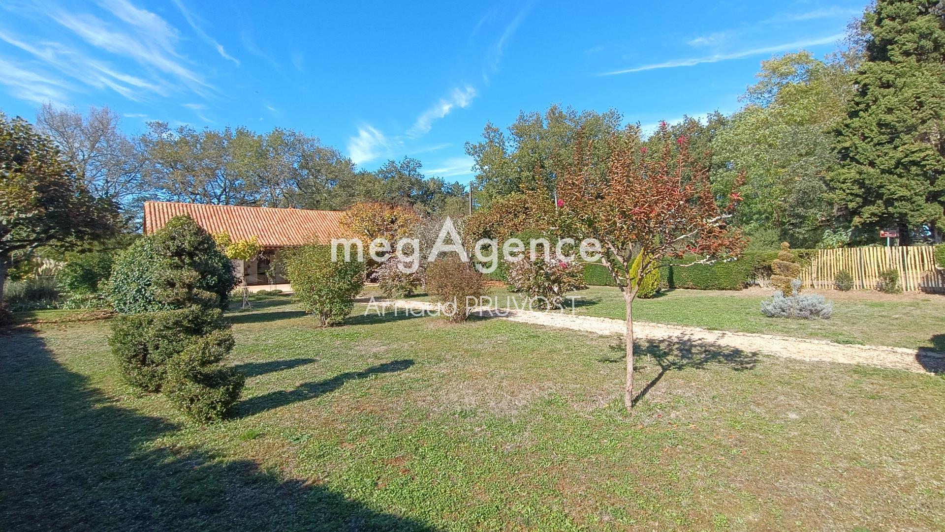 Miniature photo - 3 / 14