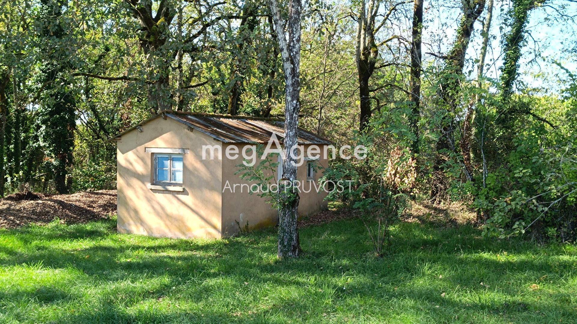 Miniature photo - 14 / 14