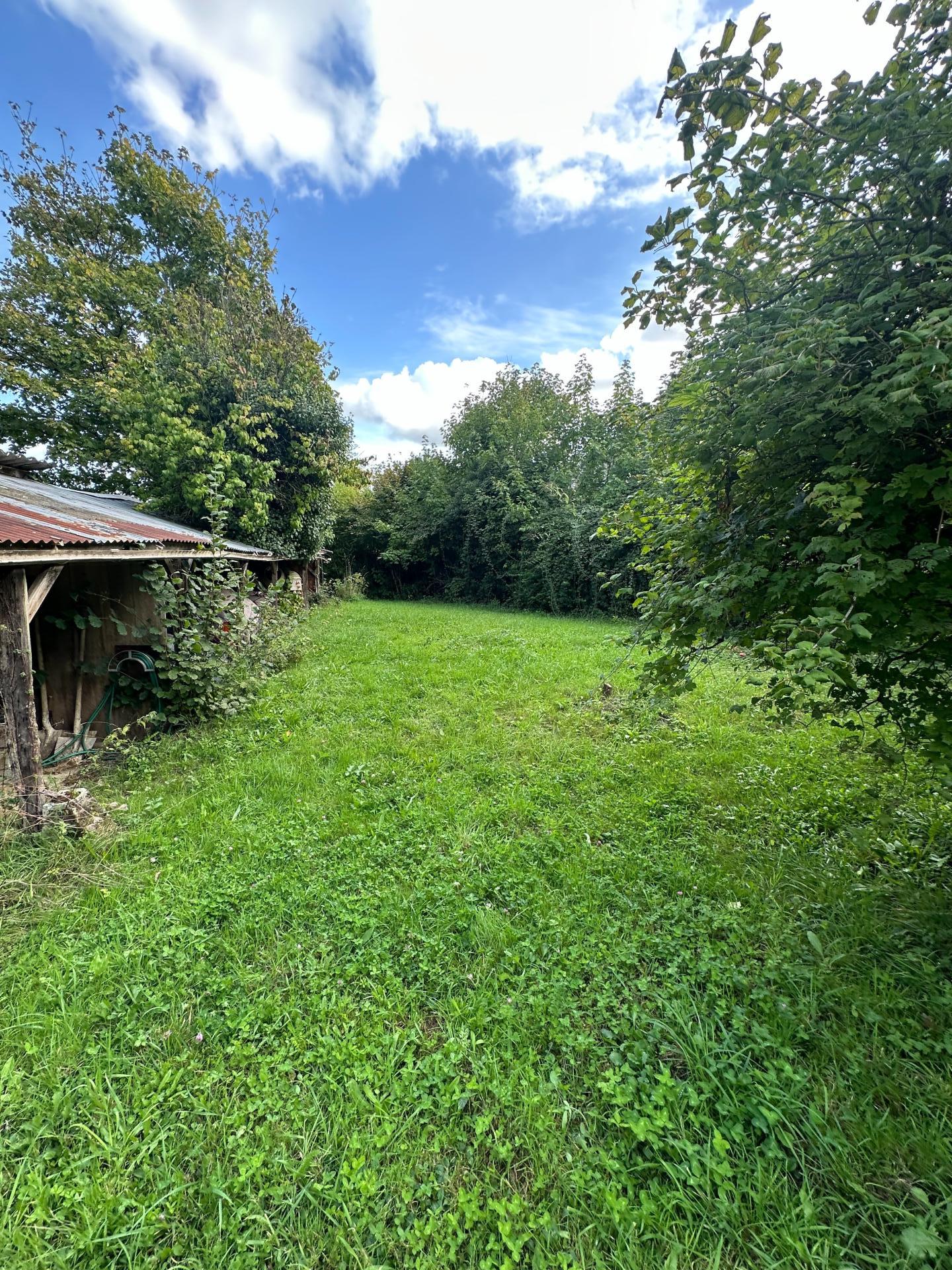 Miniature photo - 16 / 16