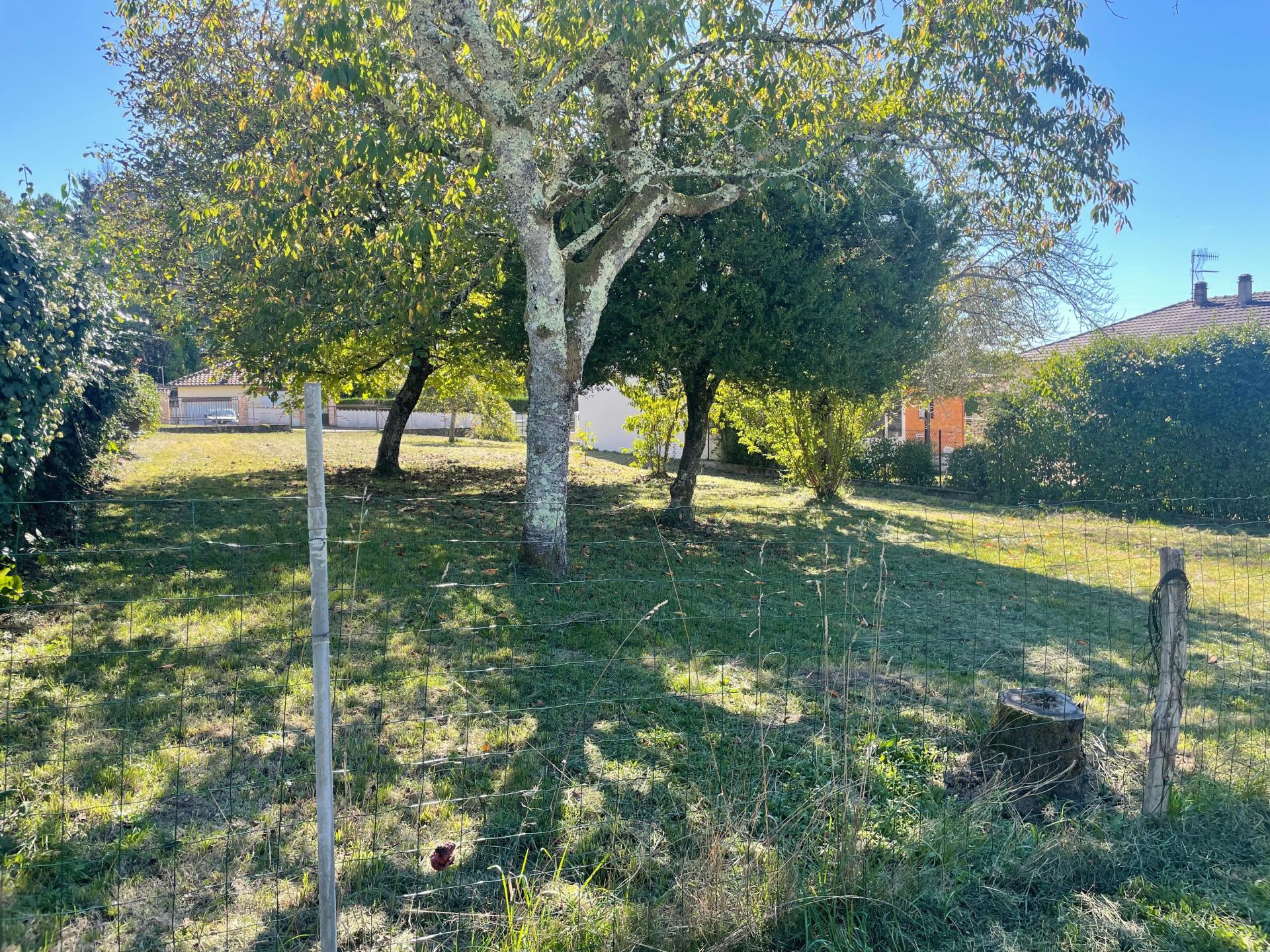 Miniature photo - 2 / 2