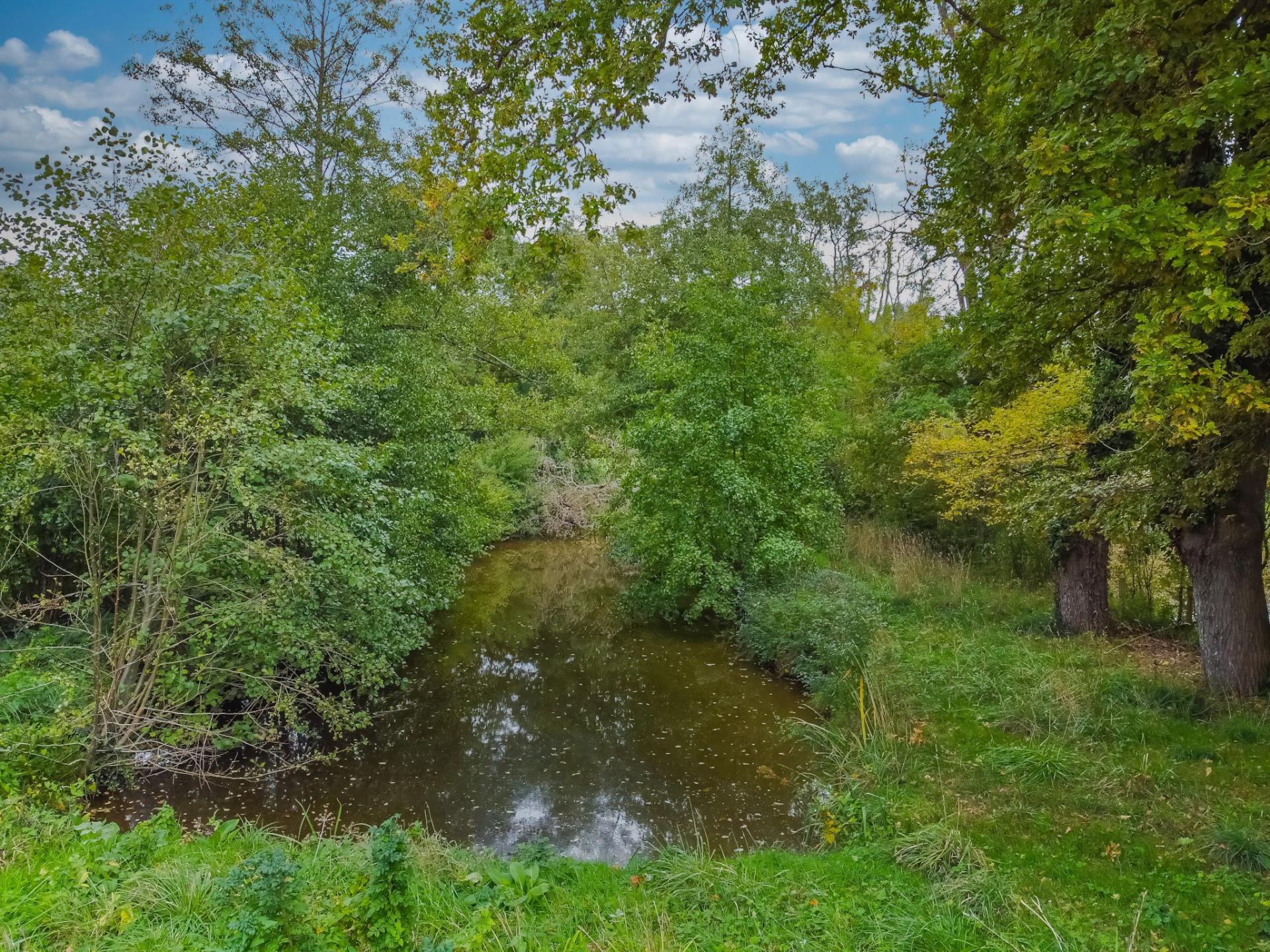 Miniature photo - 12 / 13