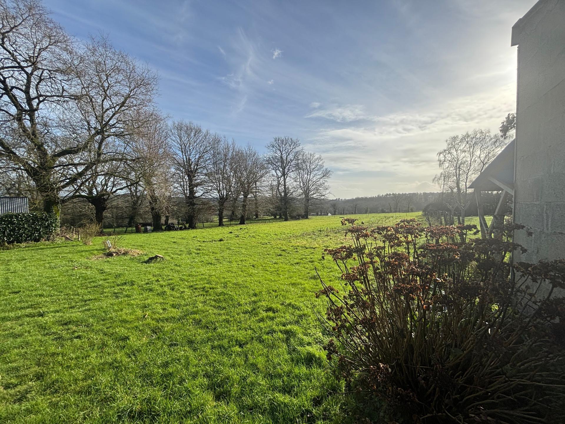 Miniature photo - 3 / 10