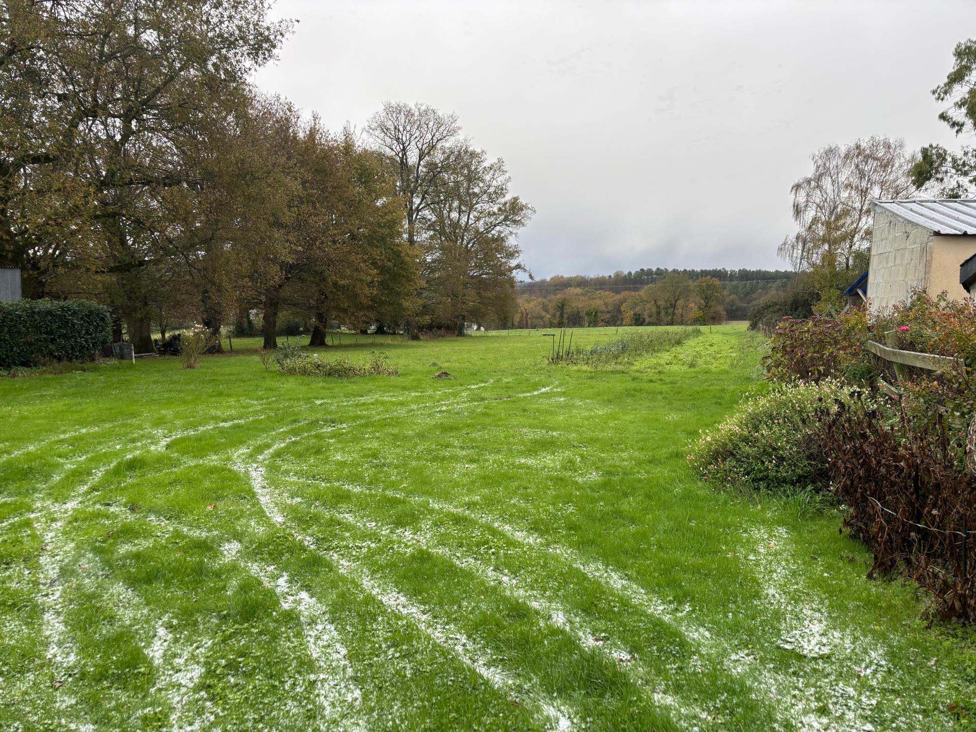 Miniature photo - 7 / 10