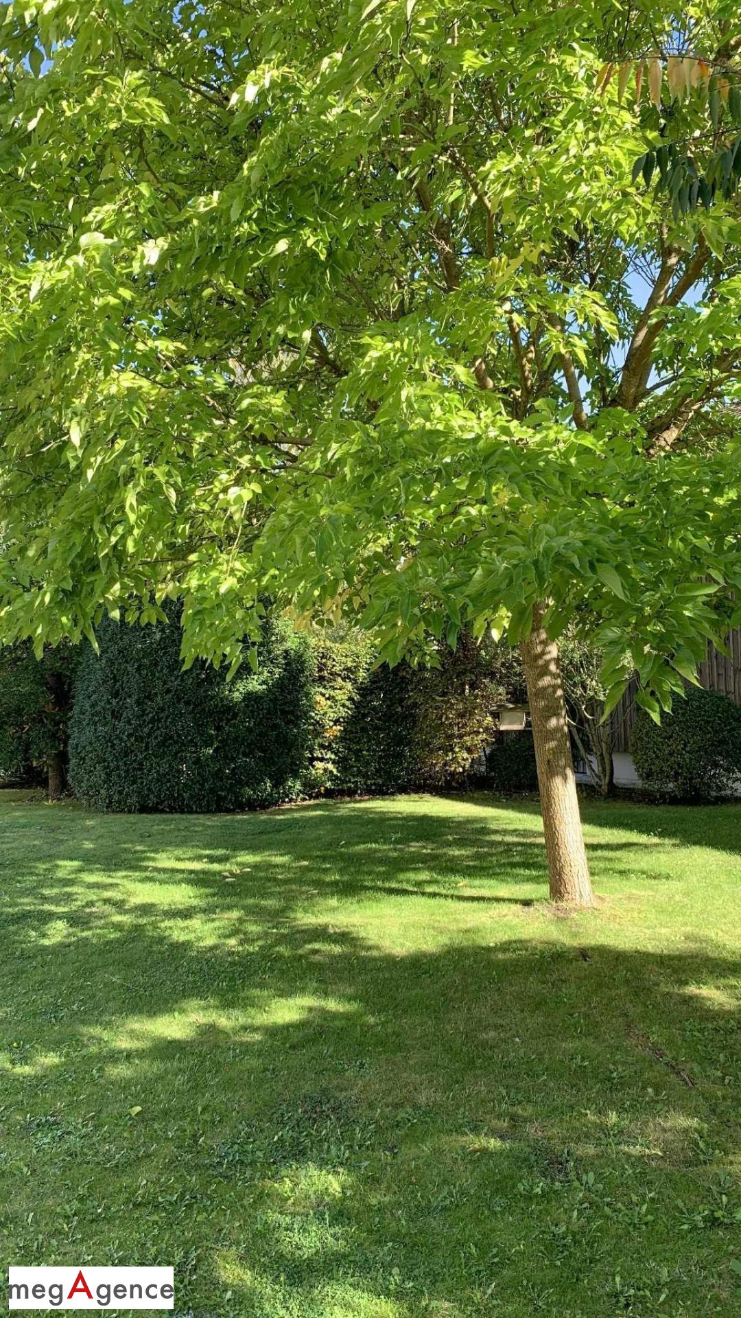 Miniature photo - 12 / 20