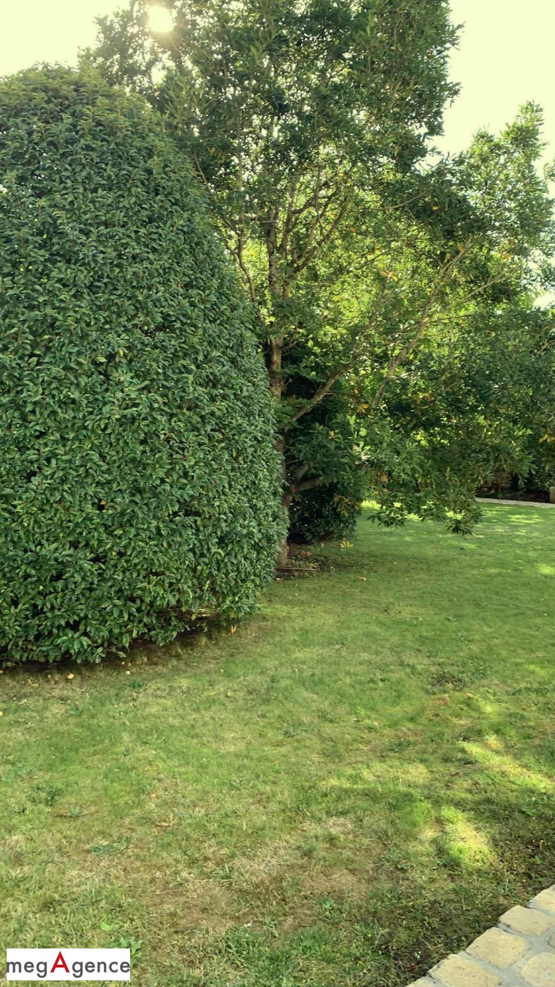 Miniature photo - 7 / 20