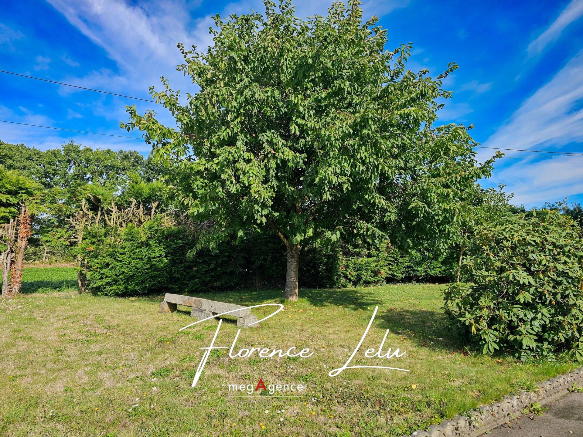 Miniature photo - 3 / 13