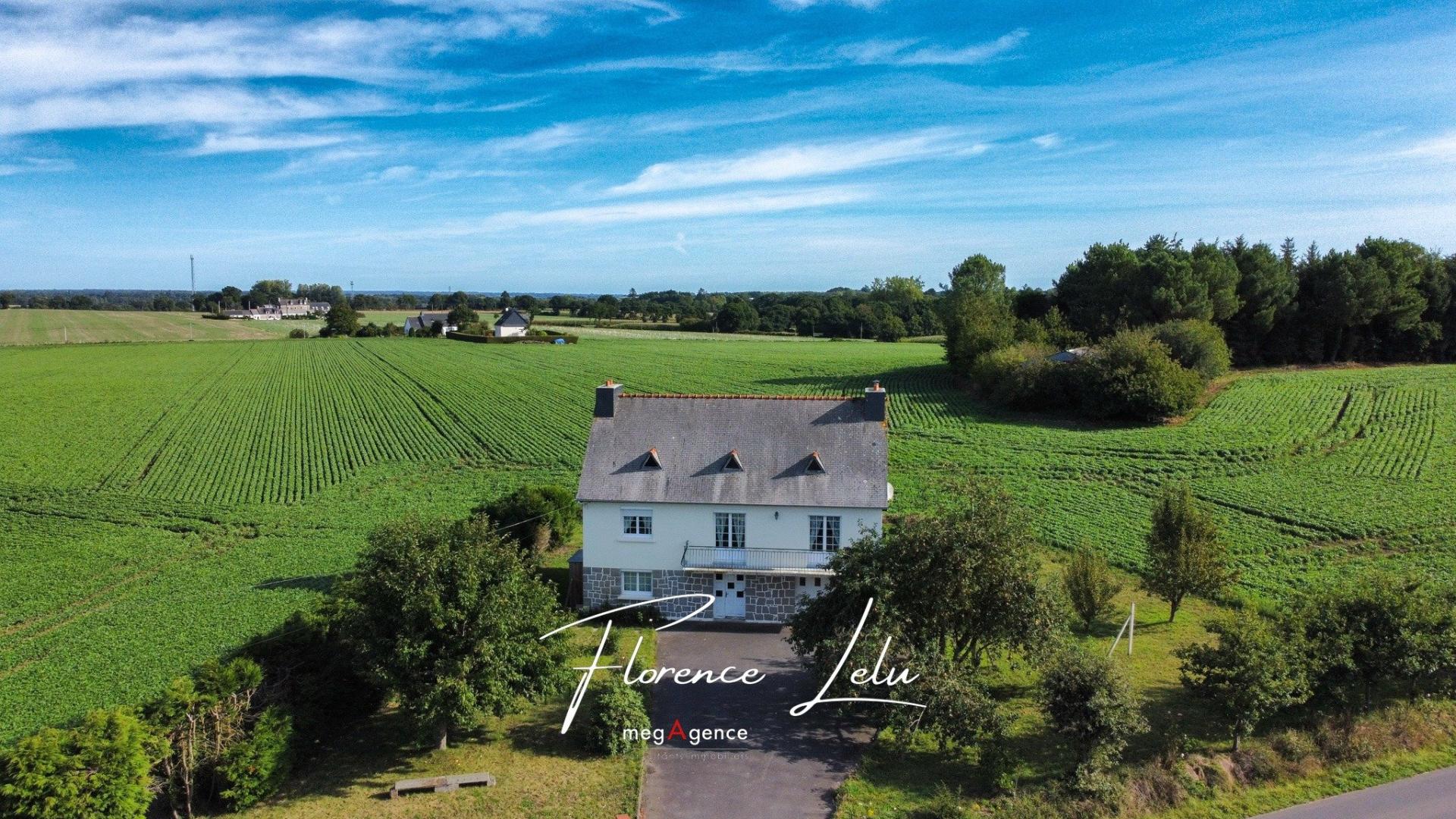 Miniature photo - 4 / 13