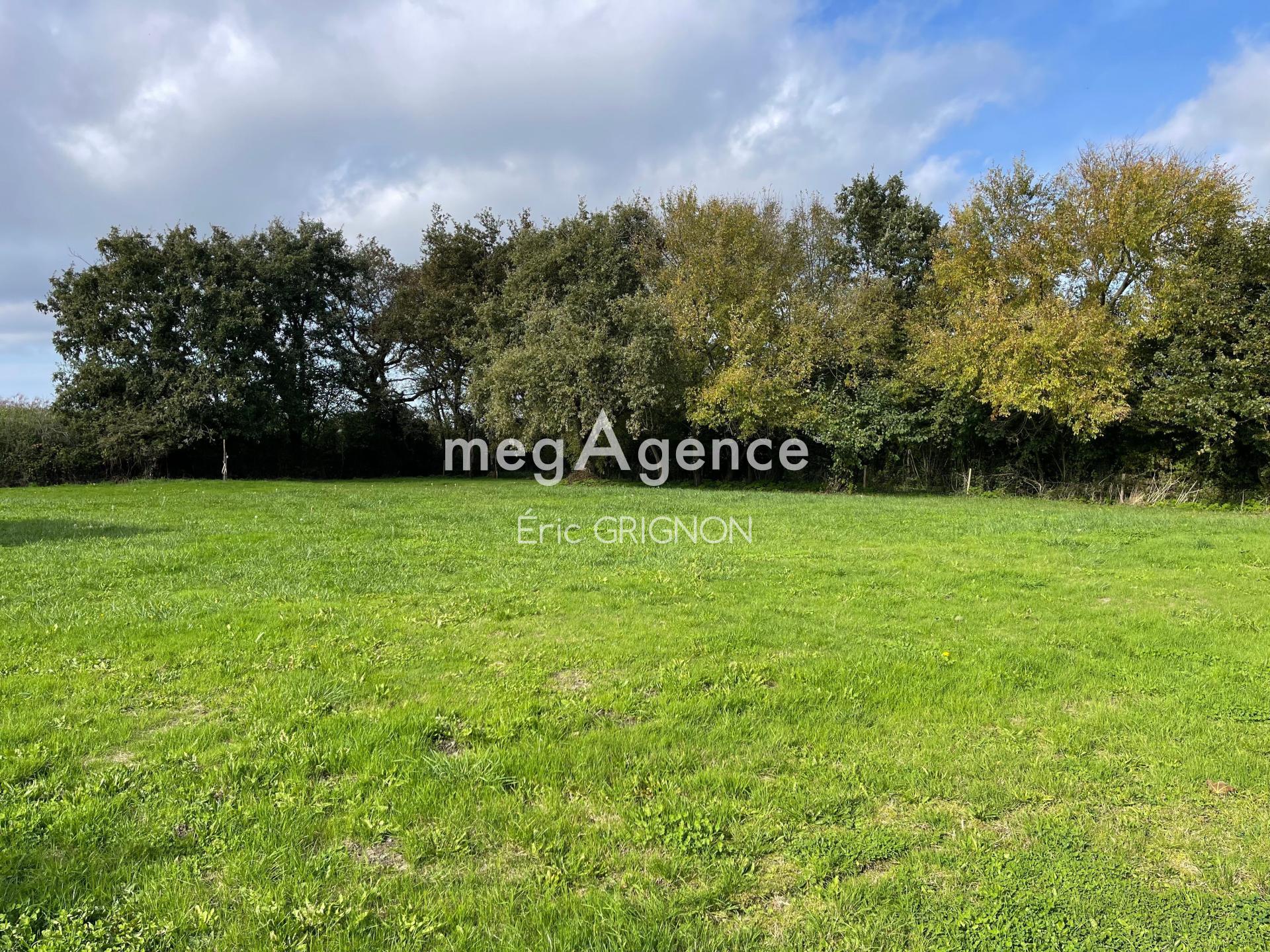 Miniature photo - 15 / 16