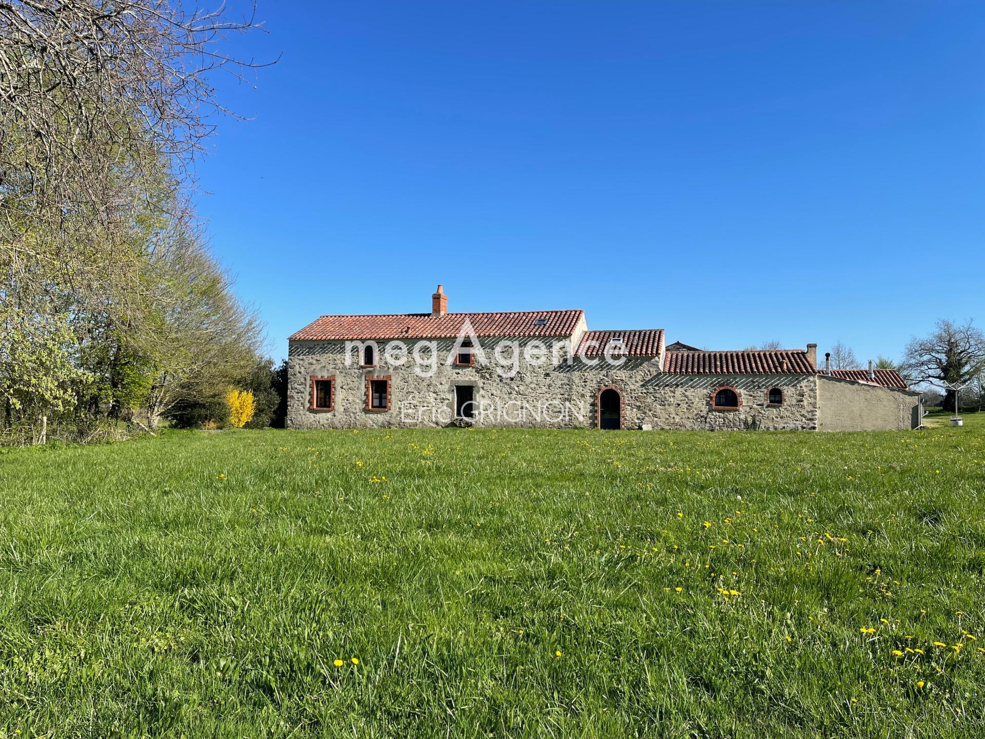 Miniature photo - 13 / 16