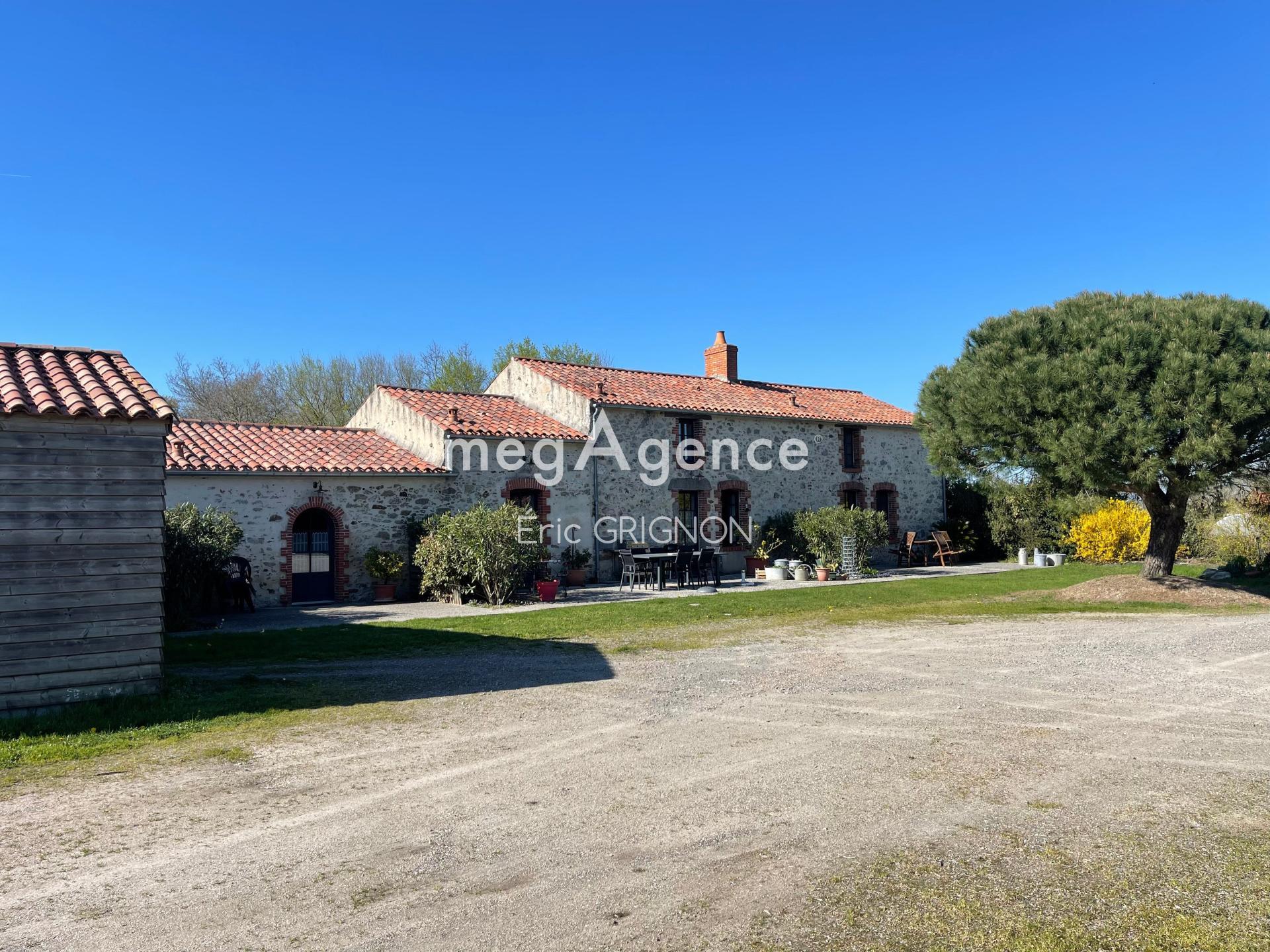 Miniature photo - 12 / 16