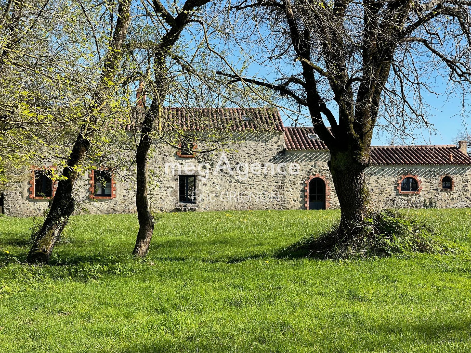 Miniature photo - 14 / 16