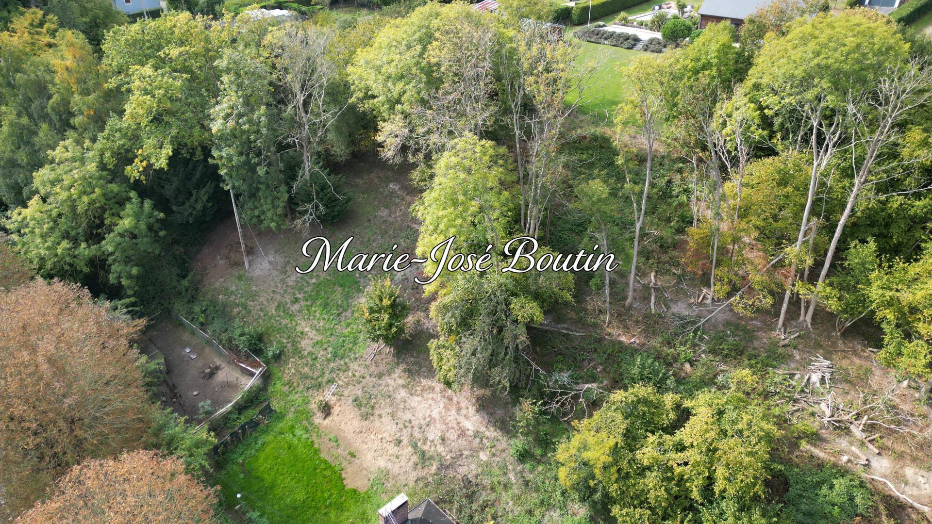 Miniature photo - 2 / 8