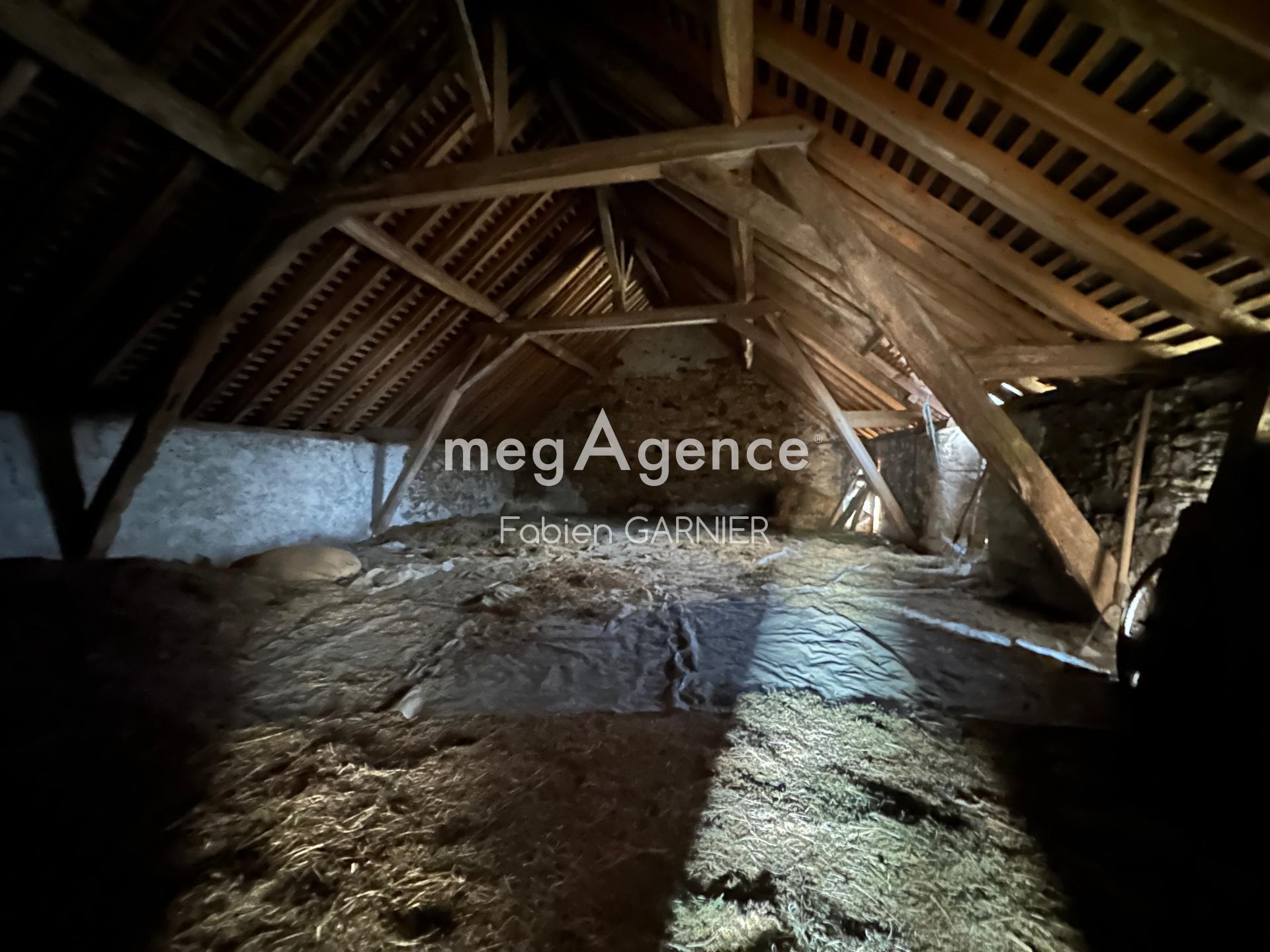 Miniature photo - 10 / 12