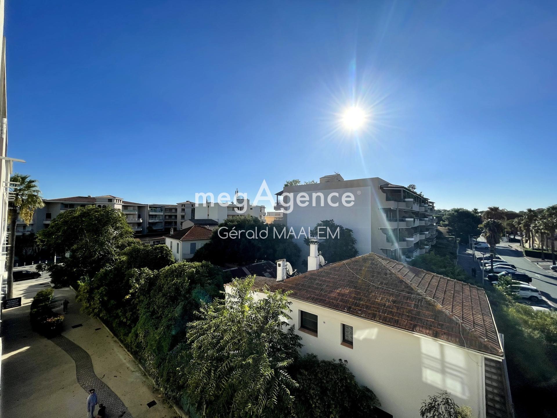 Miniature photo - 11 / 13