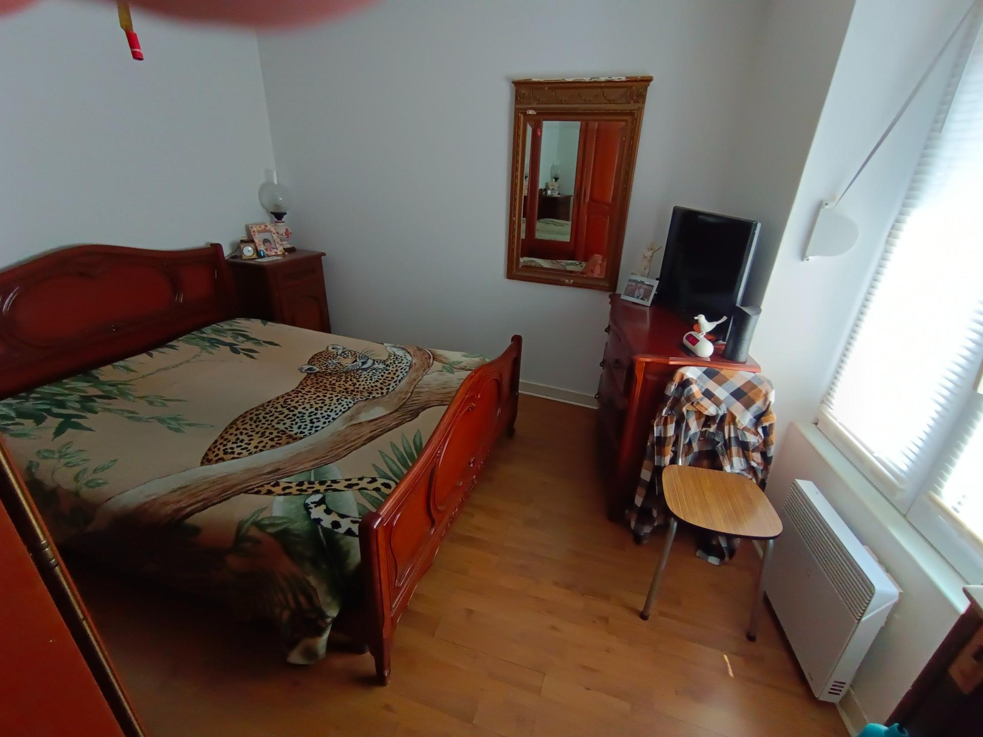 Miniature photo - 4 / 5