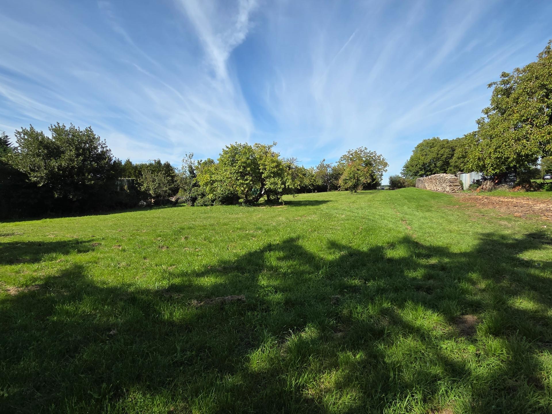 Miniature photo - 11 / 11