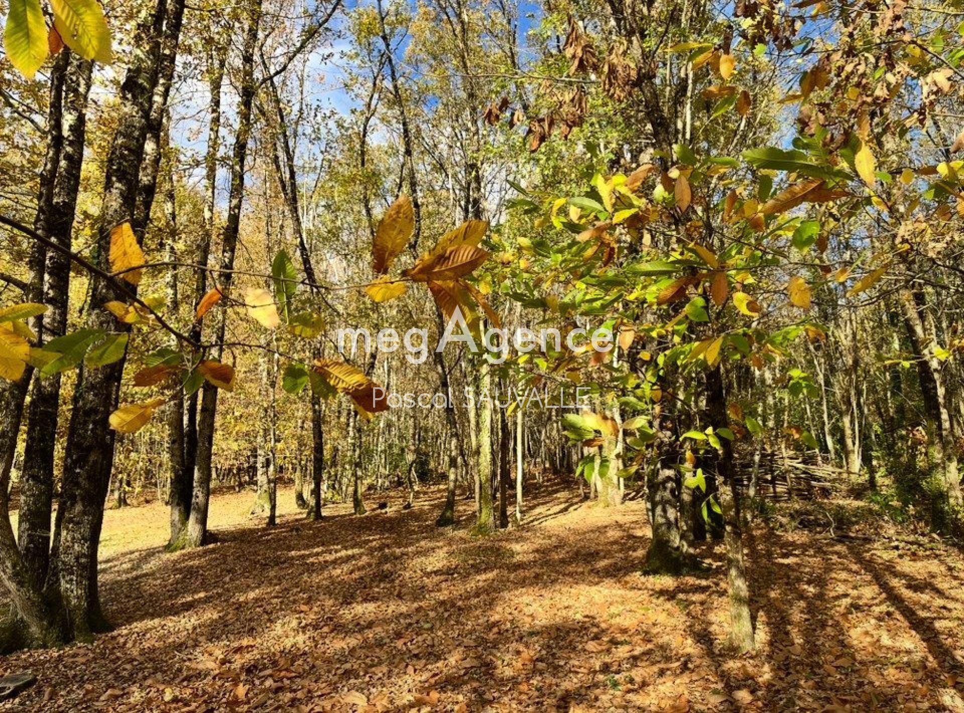 Photographie descriptive du bien