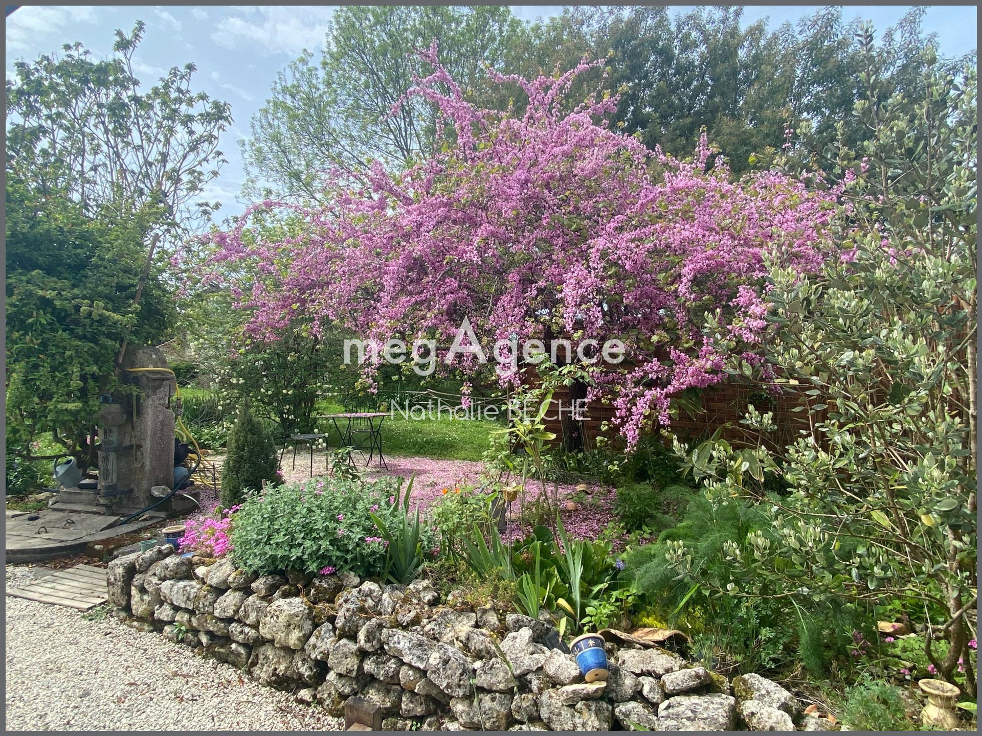 Miniature photo - 4 / 14