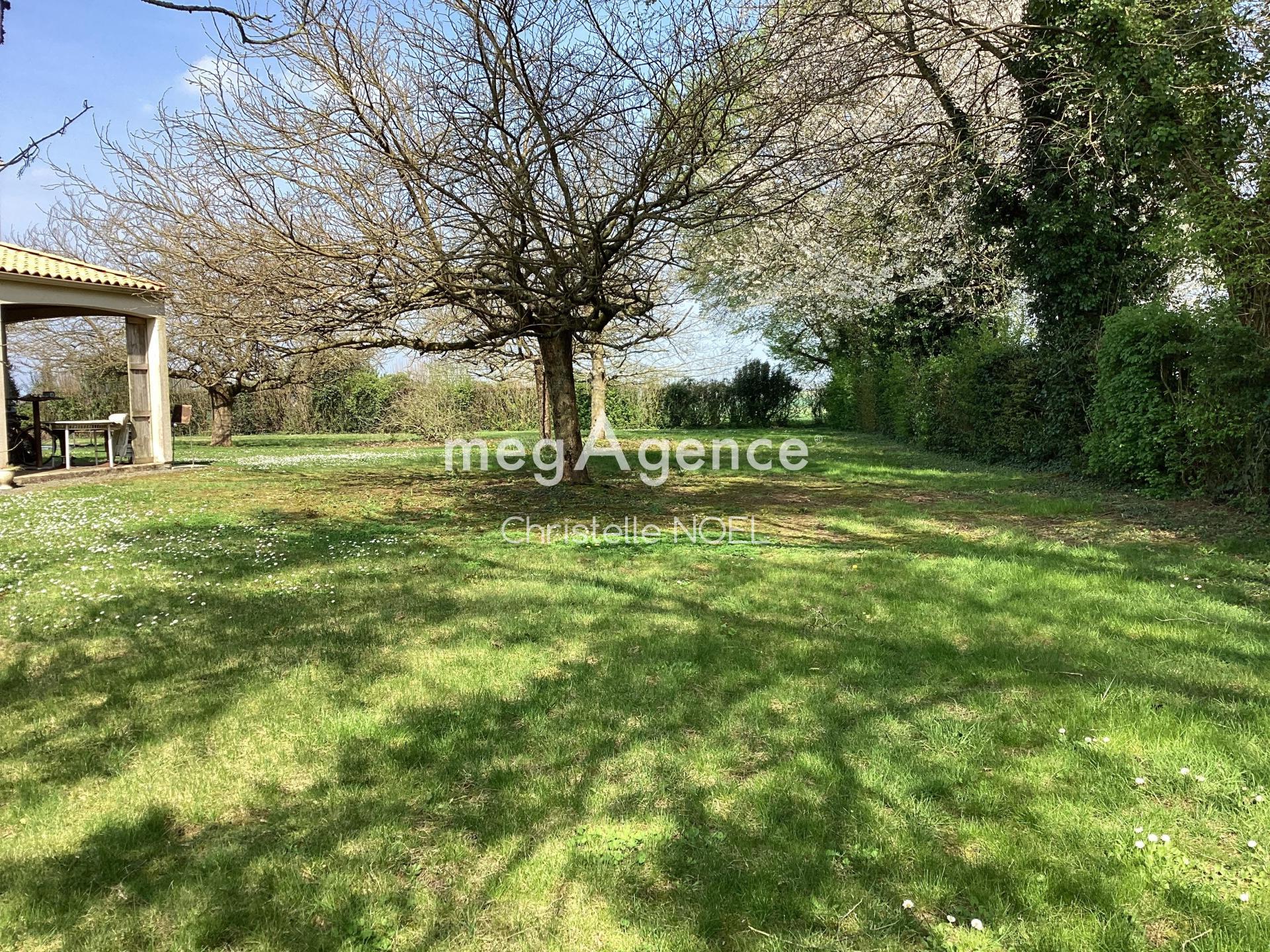 Miniature photo - 4 / 12