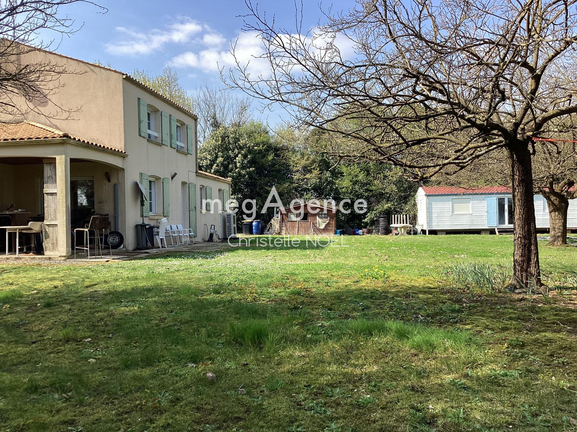 Miniature photo - 2 / 12