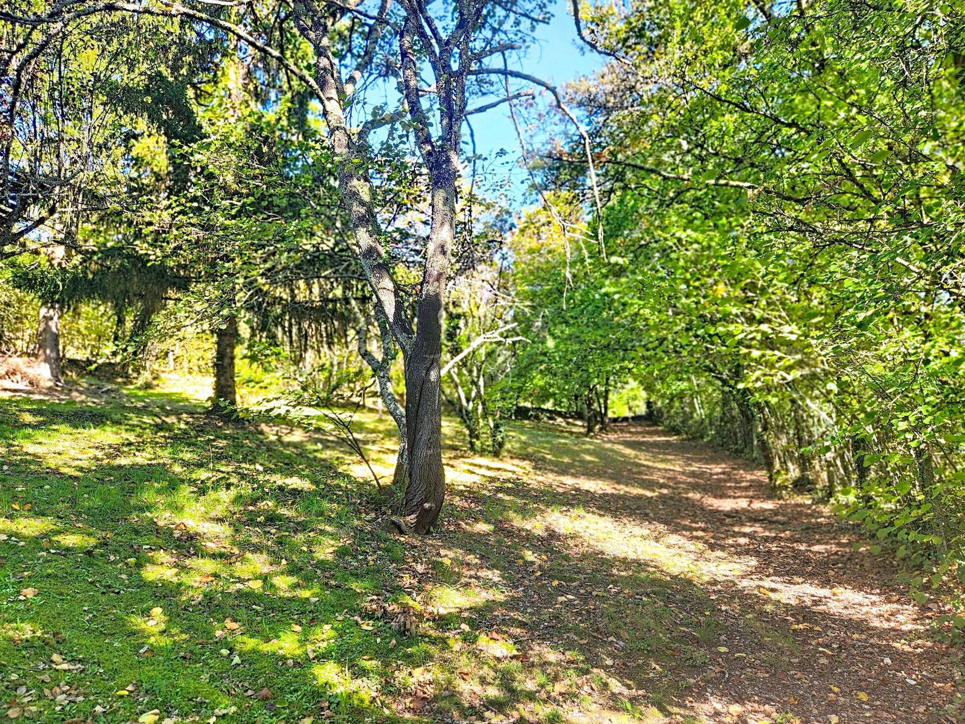 Miniature photo - 12 / 12