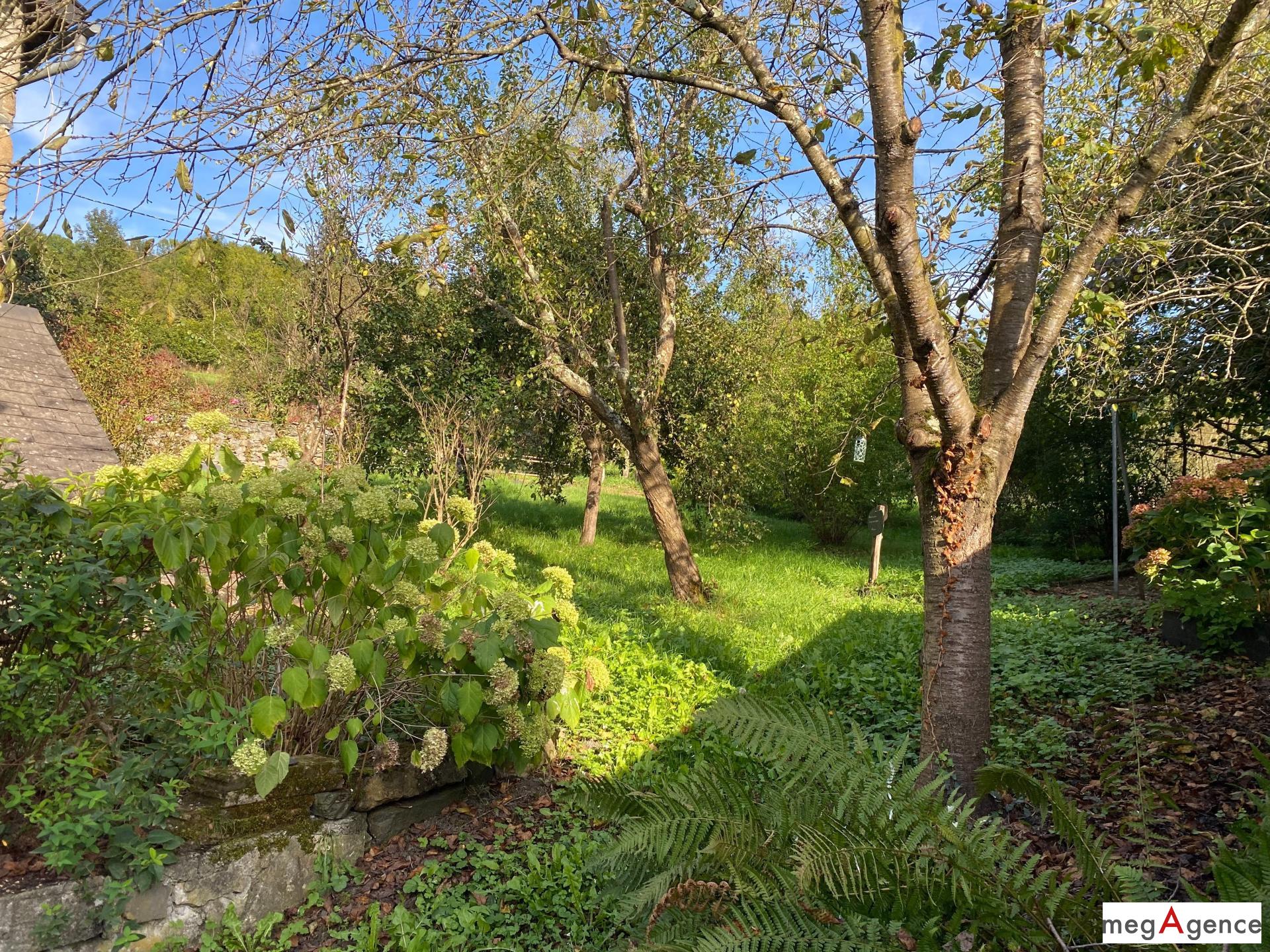 Miniature photo - 14 / 14